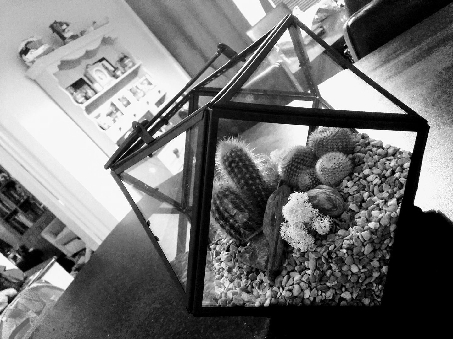 Ouch... we're about to launch our new Cacti Terrariums!!!!