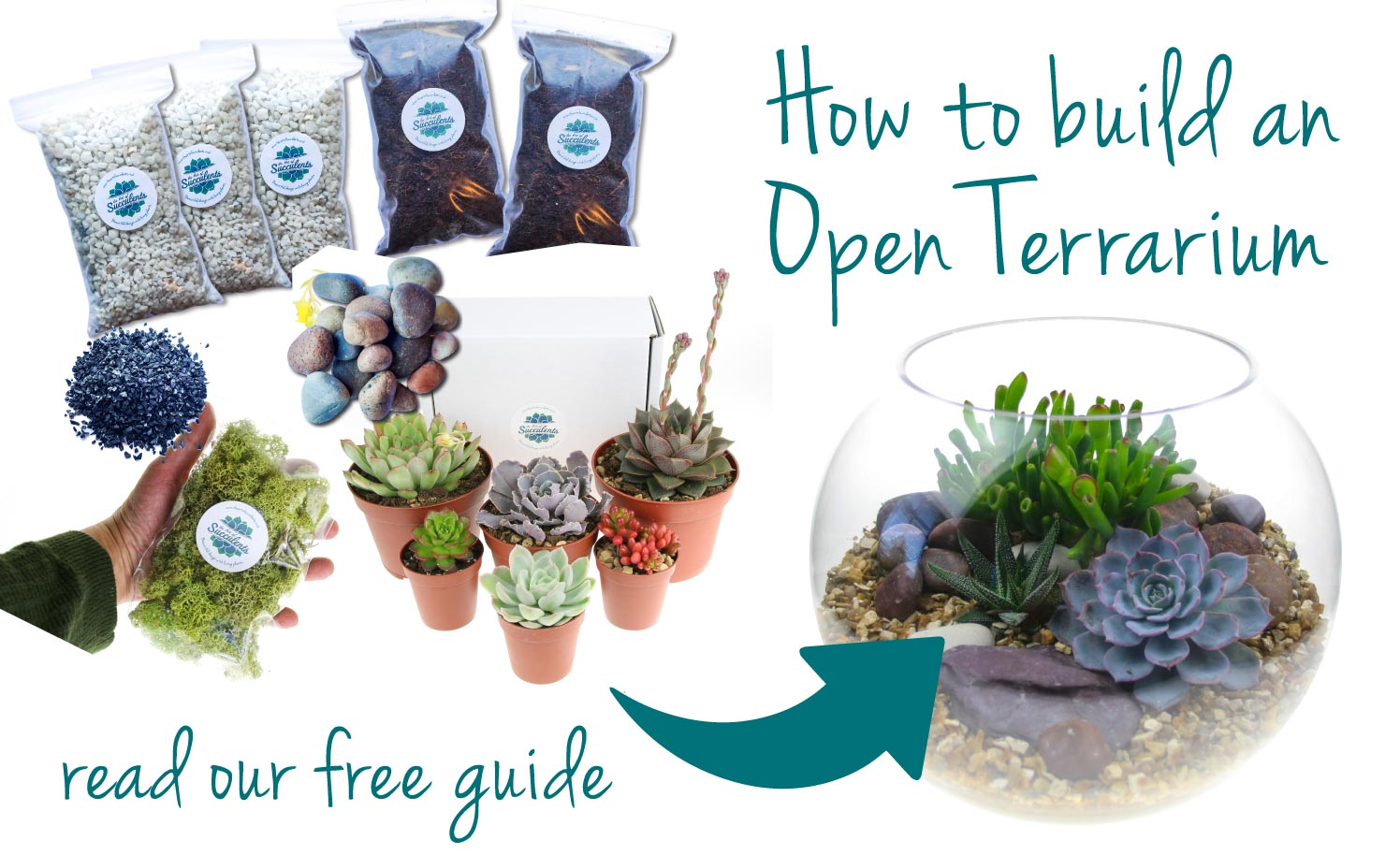How to Create an Open Terrarium, ideal for Succulents & Cacti - Our illustrated step-by-step guide