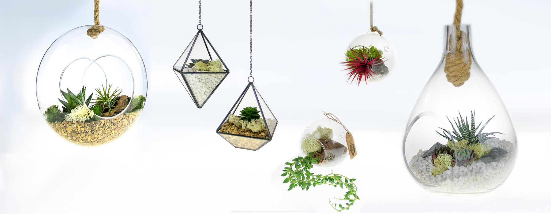 Hanging Terrariums