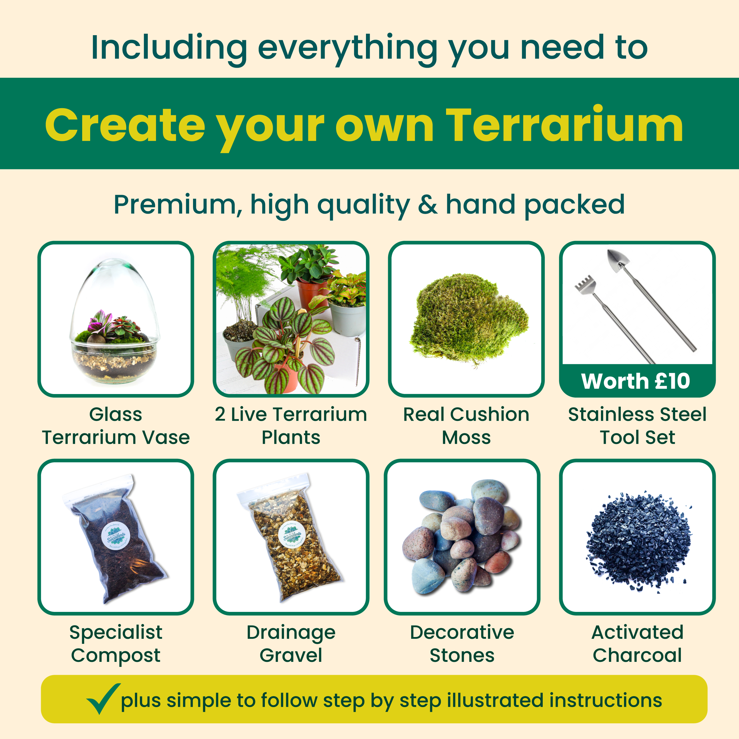 Egg terrarium kit DIY