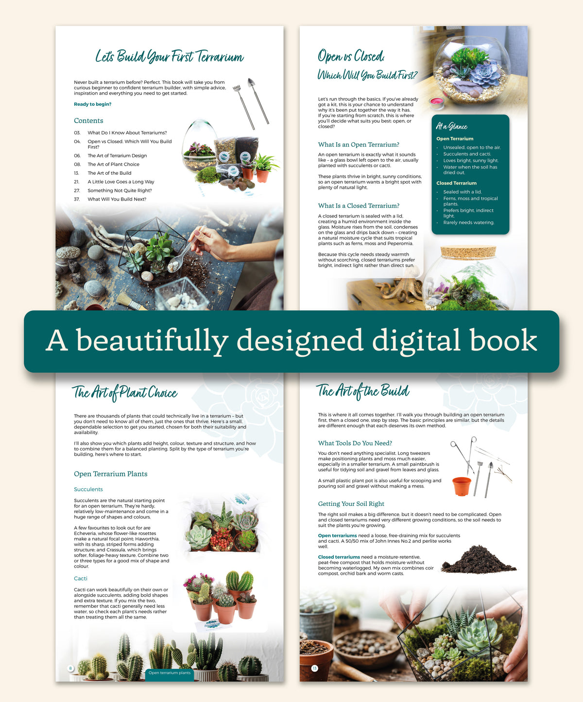 Buy a digital guide to terrarium building