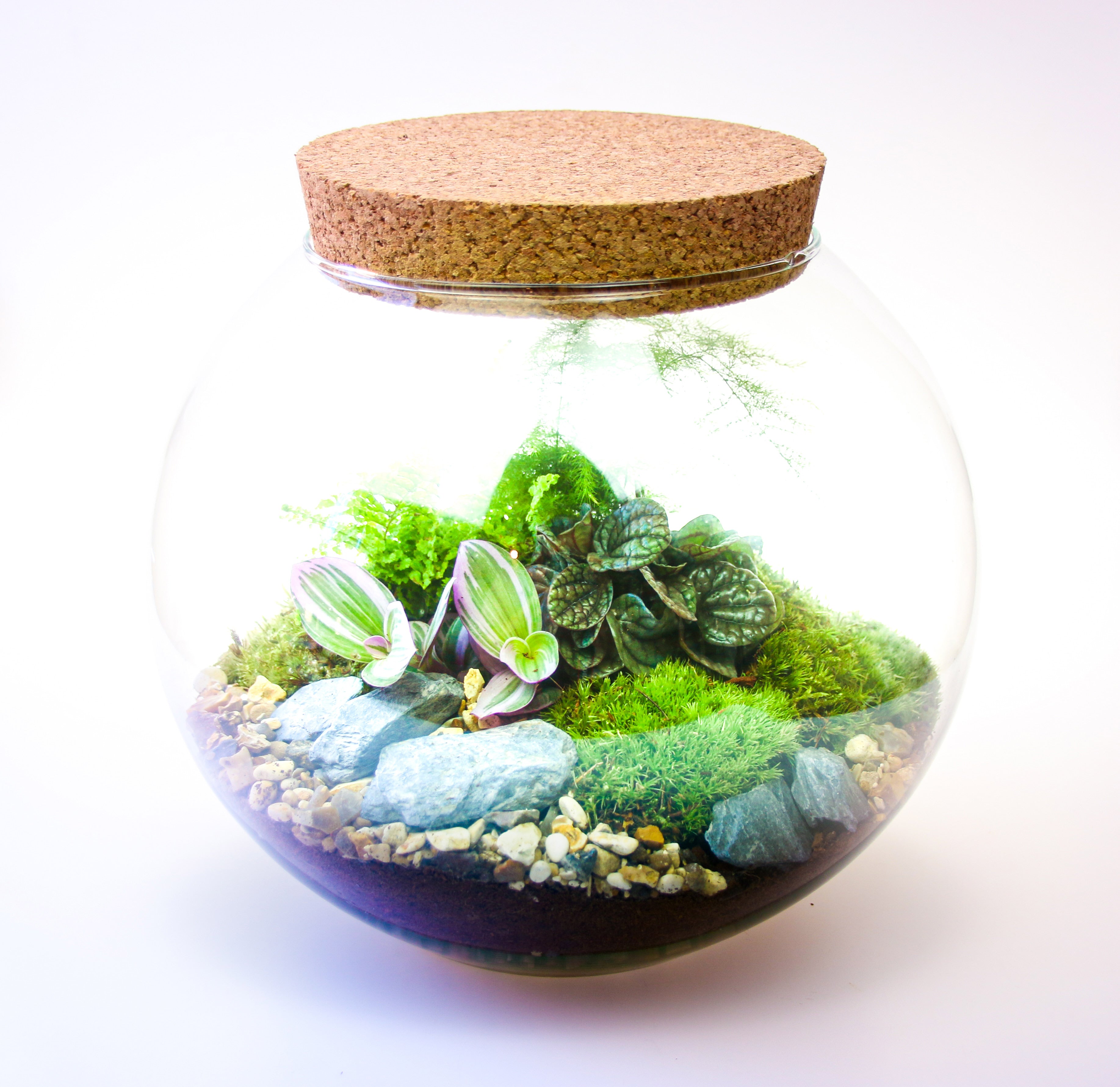 Corporate gift with real plants