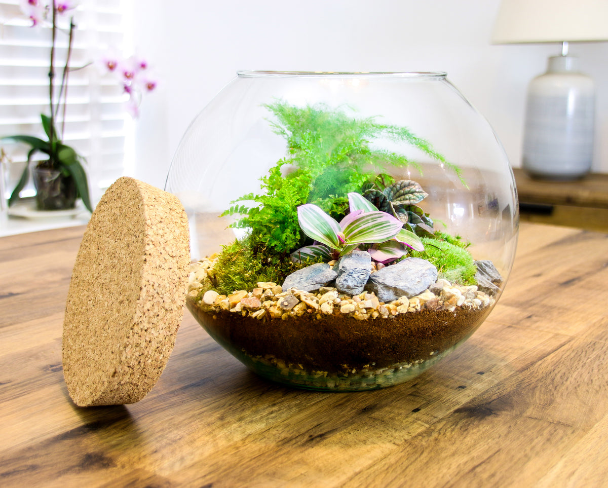 Corporate gifts for plant lovers
