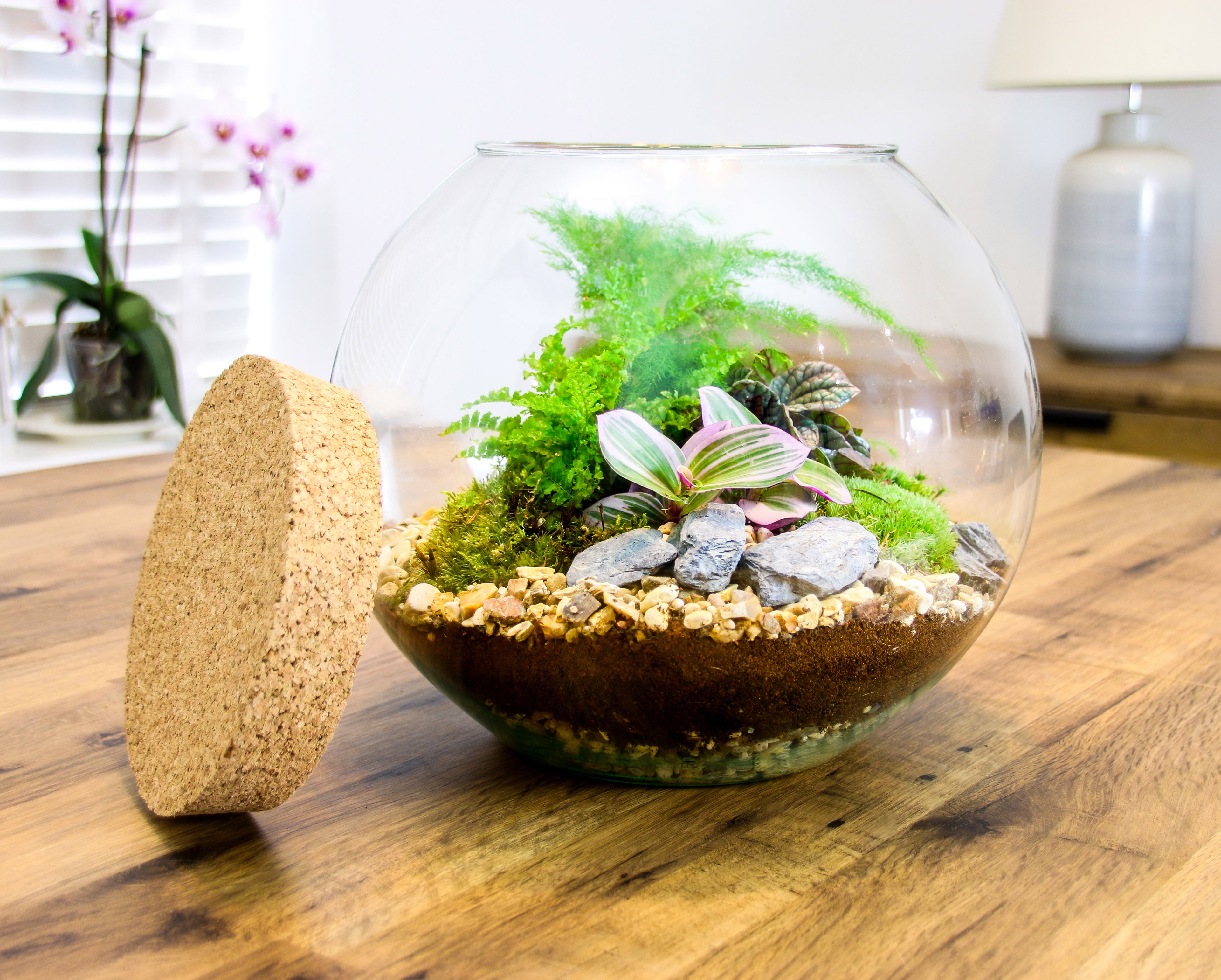 Corporate gifts for plant lovers