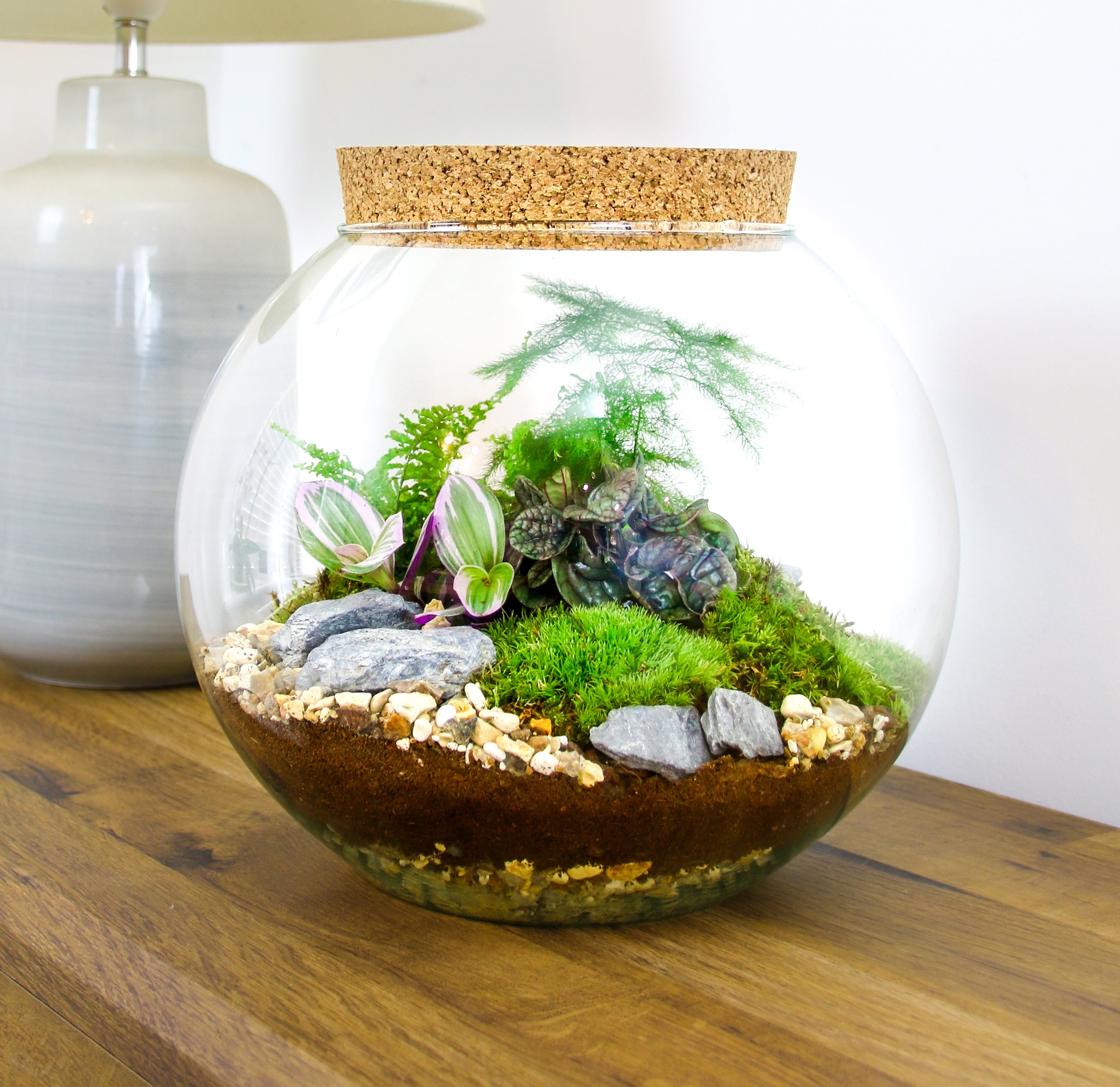 Christmas terrarium gifts
