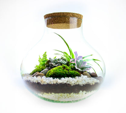 Living terrarium plants with vase