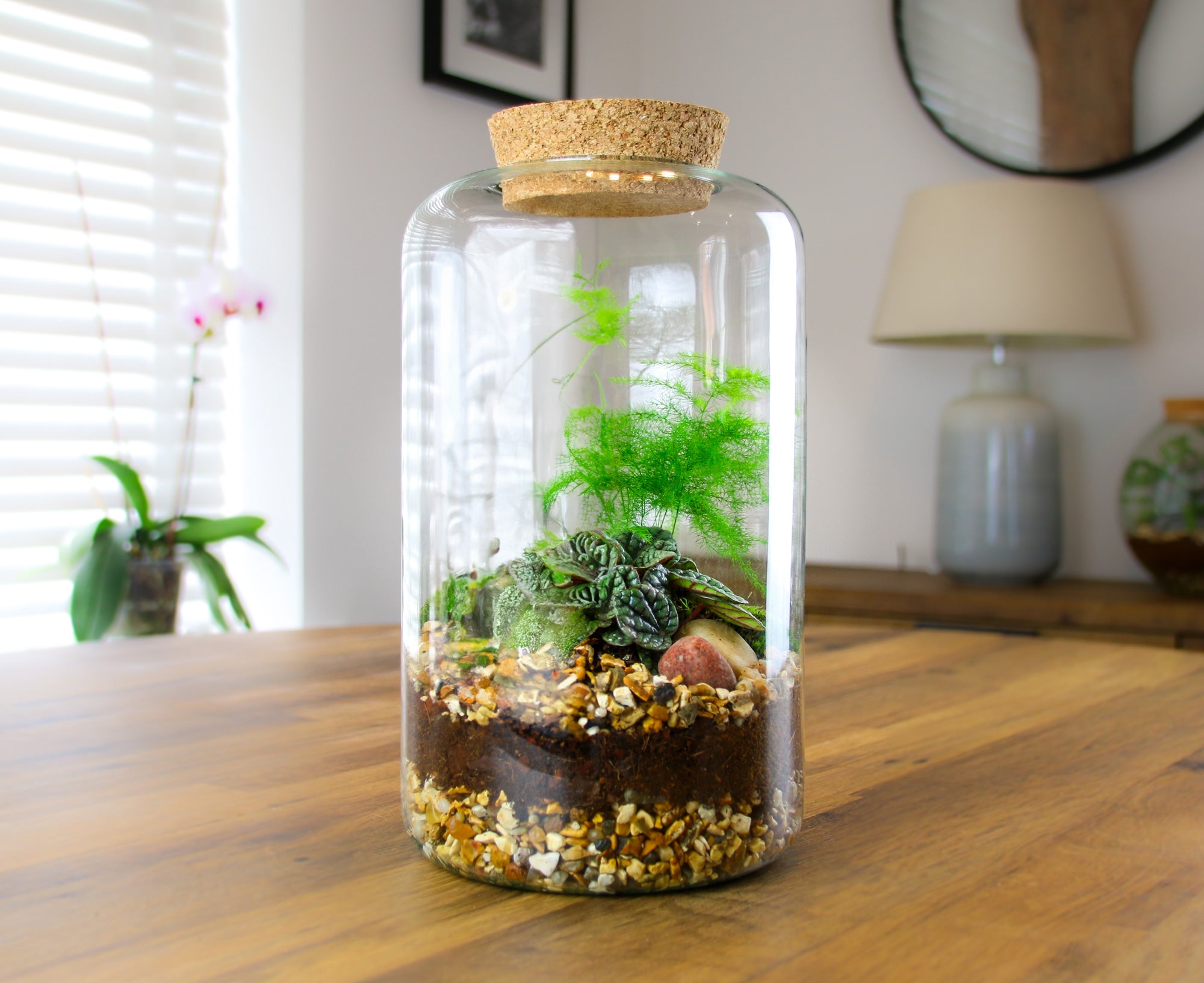 Tall terrarium for windowsill