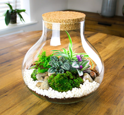 Terrarium with moss, plants and tools