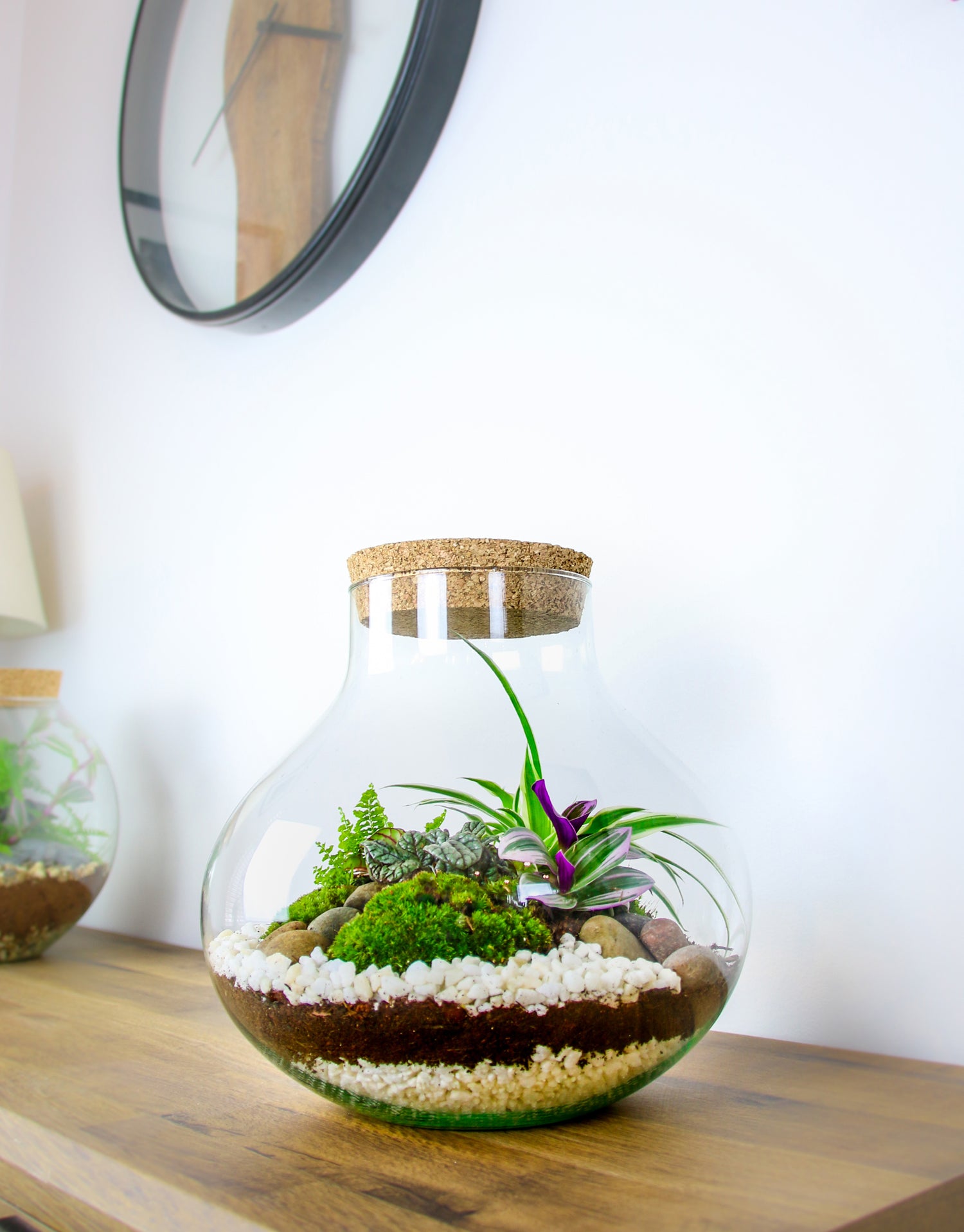 Indoor bottle garden with plants