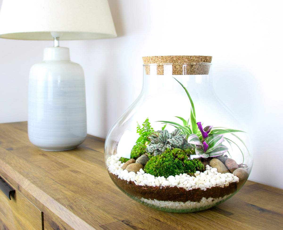 How to build a terrarium