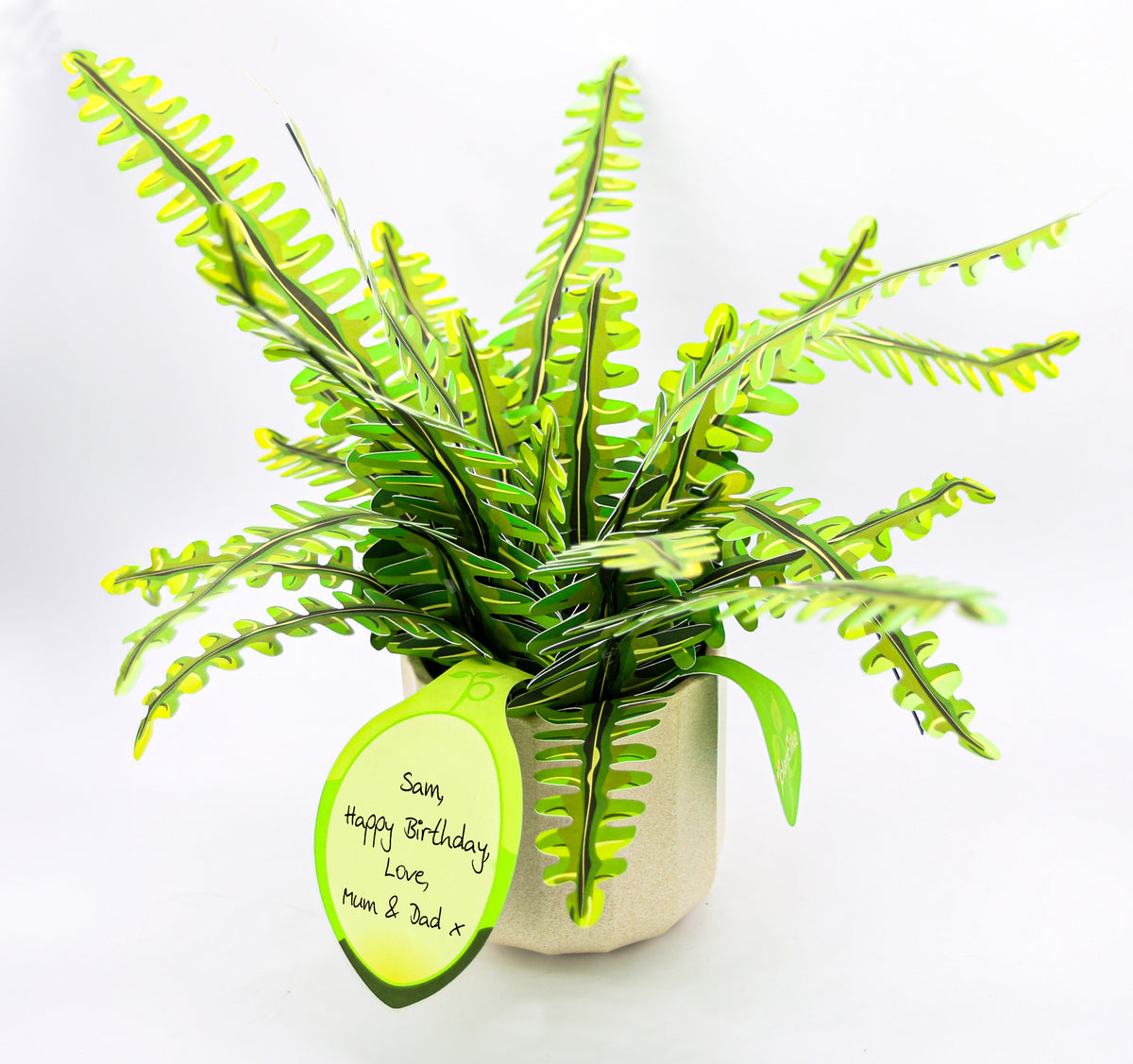 Boston fern with personalised gift tag - birthday mothers day gift UK - shop Plantlike paper plant crafts online