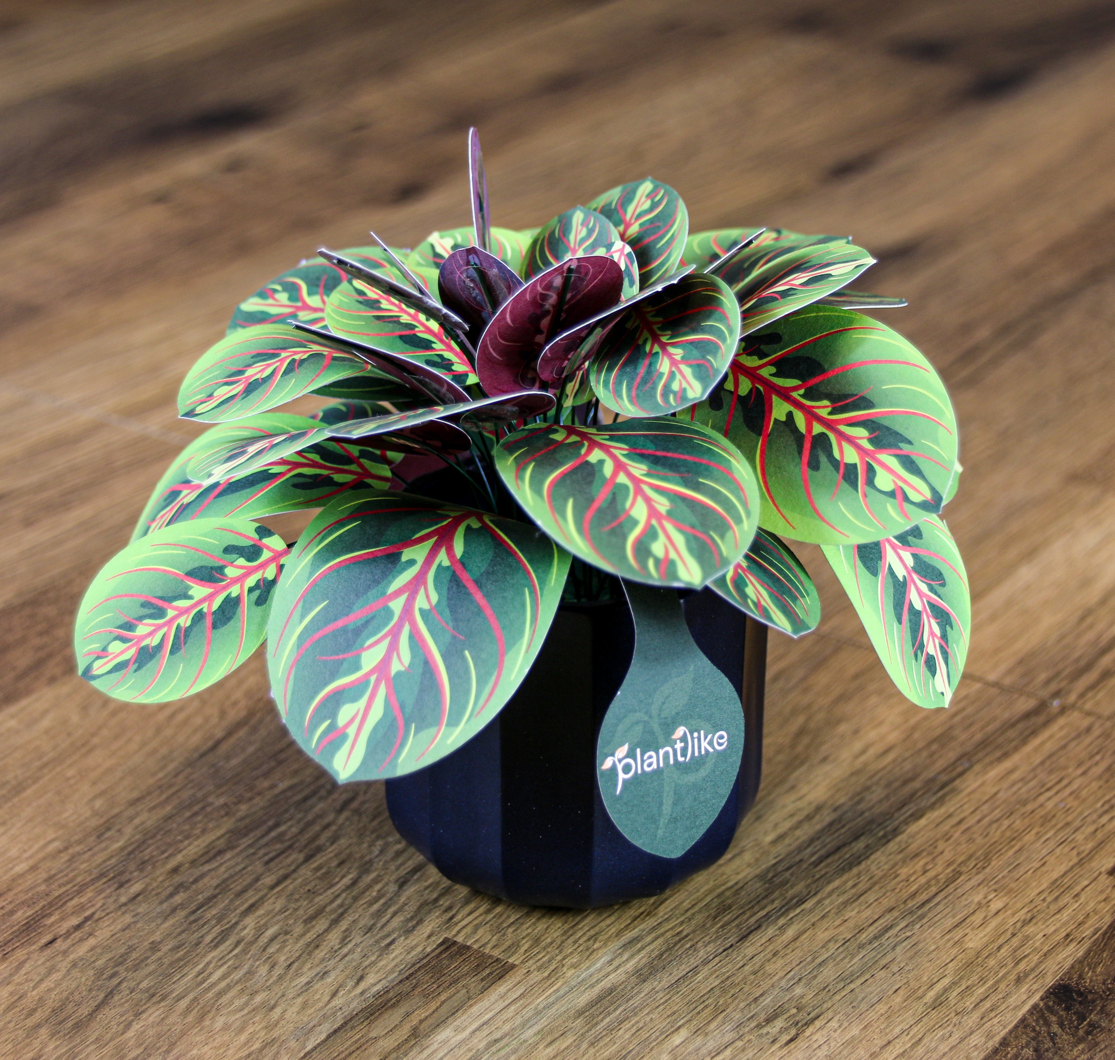 Plantlike prayer plant craft displayed with real houseplants - zero maintenance paper plant gift UK delivery available