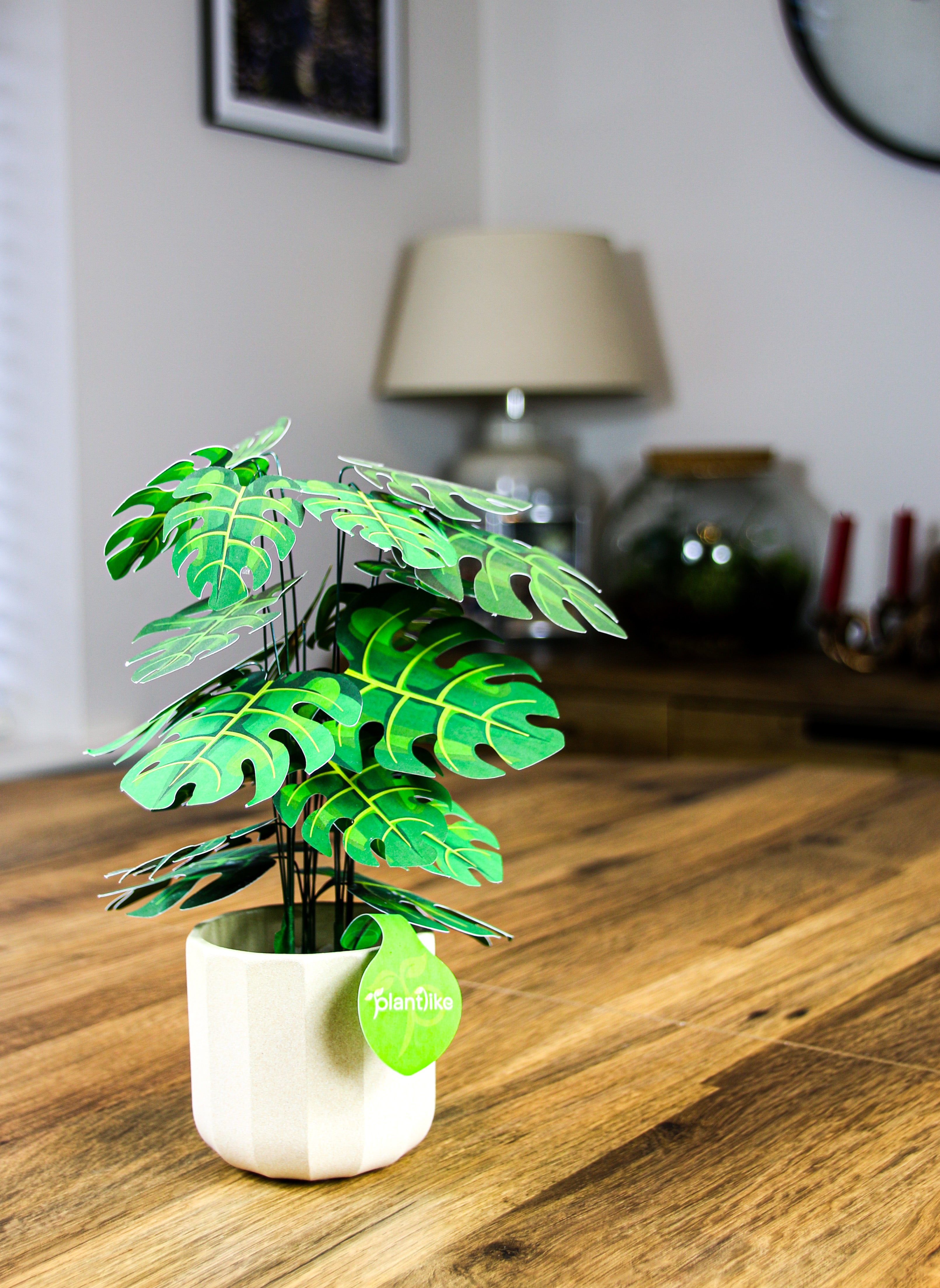 Completed monstera cheese plant in cream ceramic pot - botanical home decor gift UK - shop Plantlike craft kits