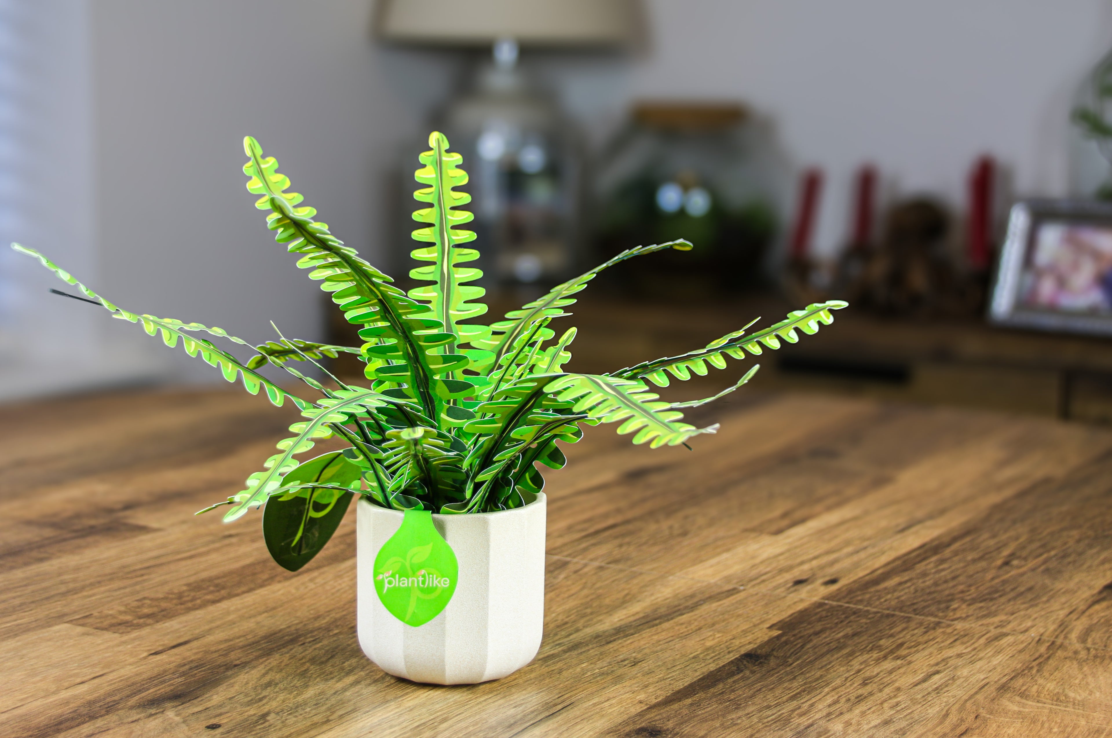 Boston fern paper craft in cream ceramic pot - elegant plant gift UK - buy online for mothers day birthday