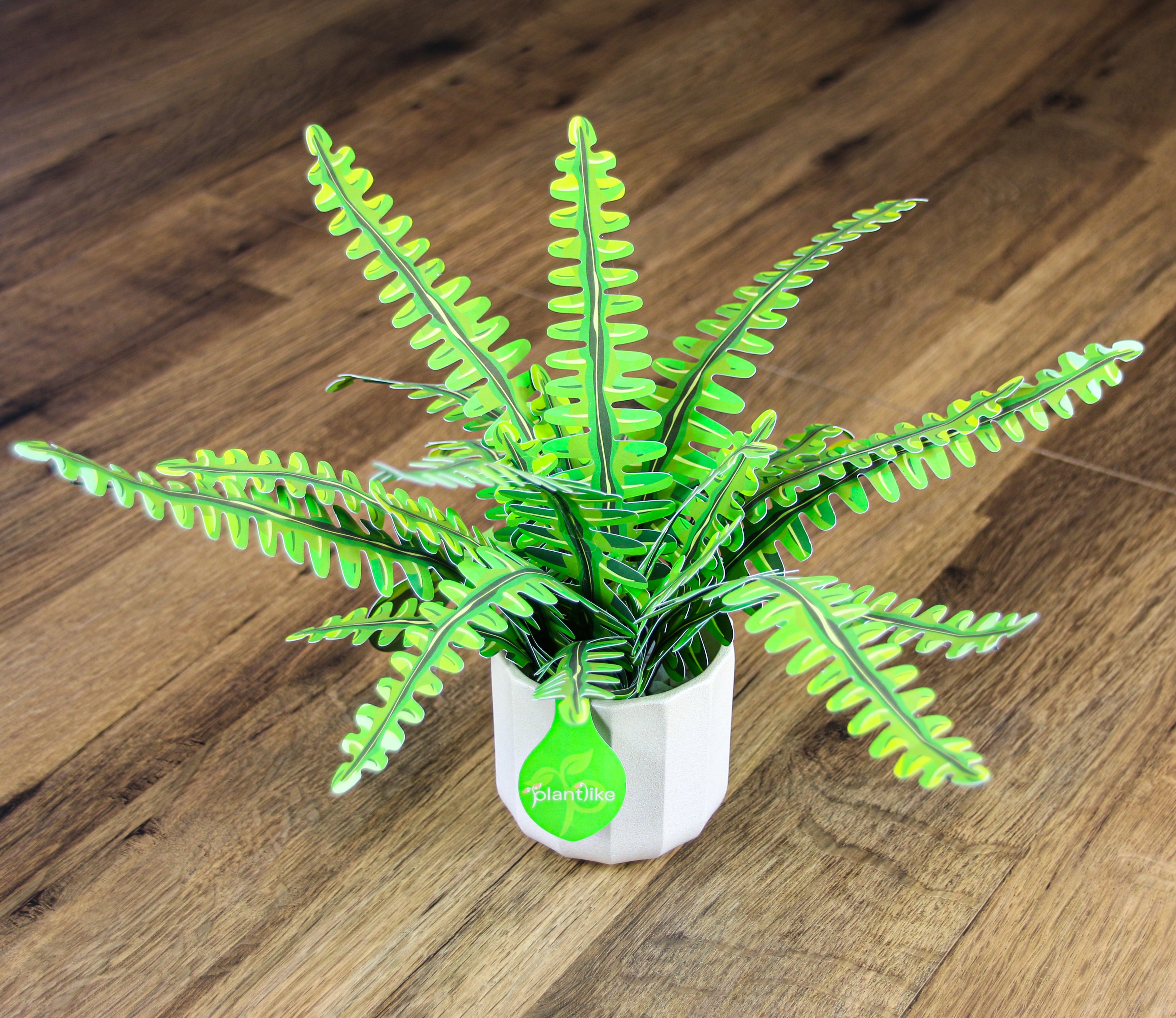 Boston fern craft displayed on wall shelf - unique botanical gift UK - order Plantlike paper plant online today