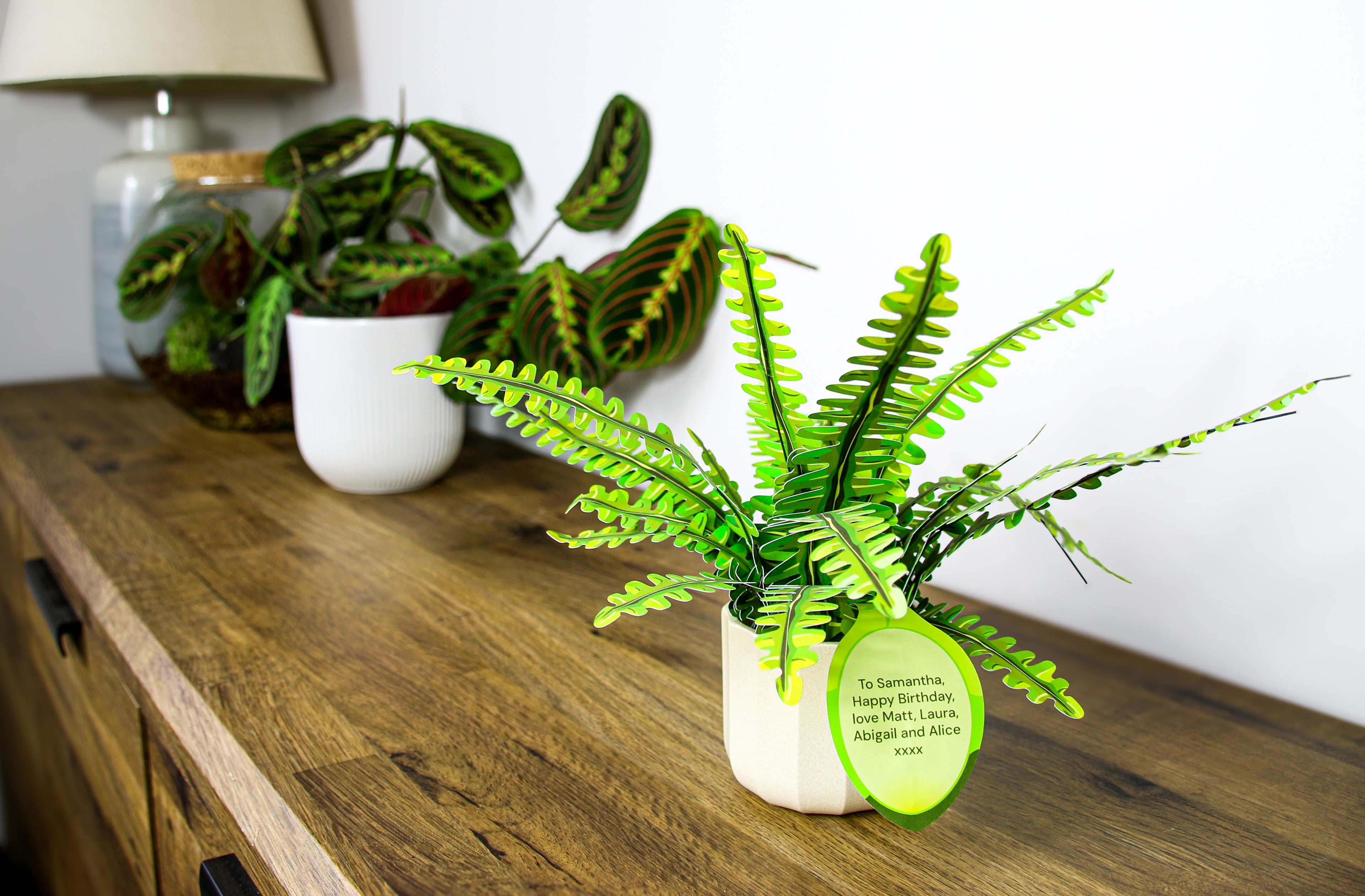 Plantlike boston fern displayed on shelf - lush botanical home decor UK - order craft gift set tracked delivery