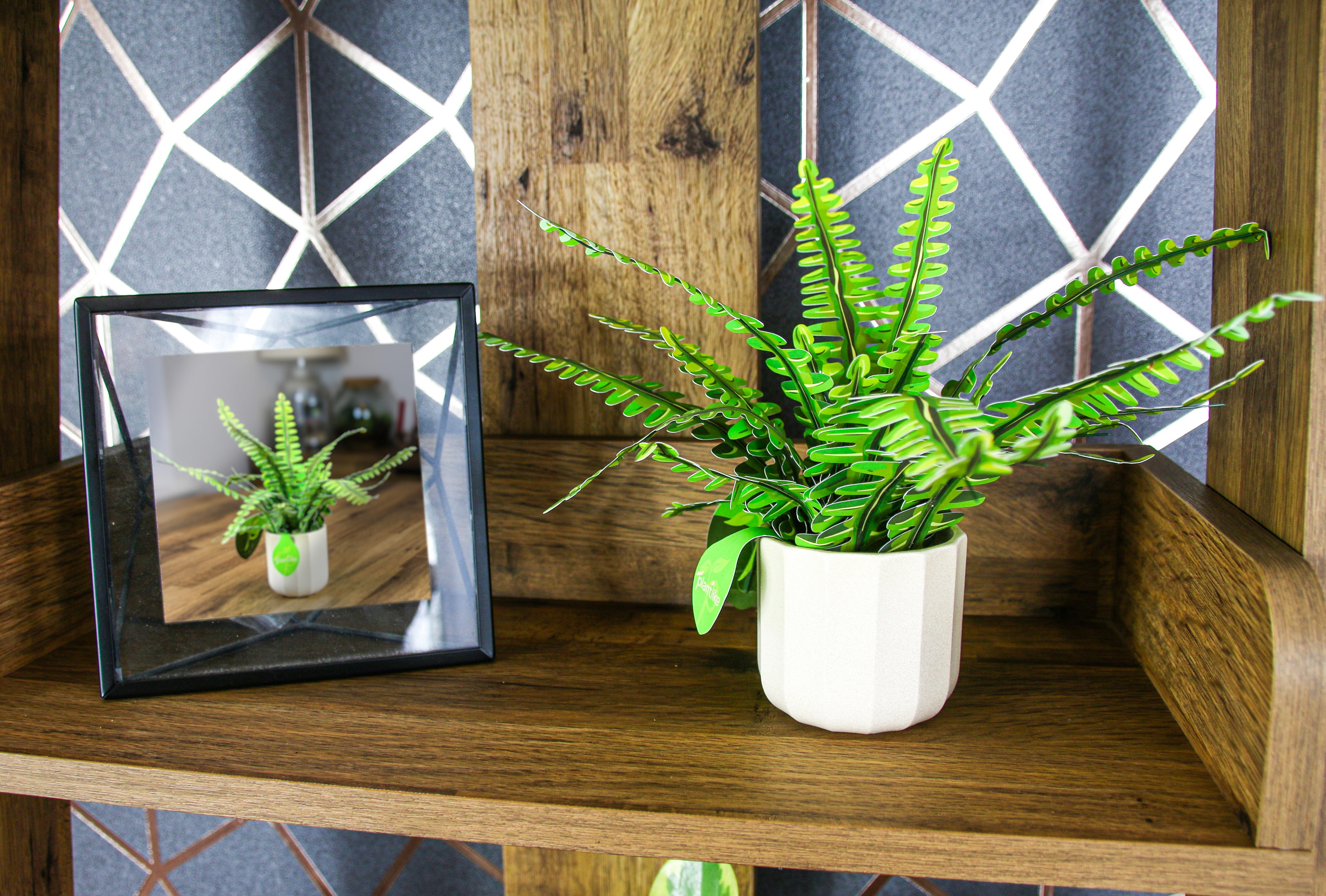 Close up boston fern craft by Plantlike - feathery lime green fronds - botanical gift UK shop online tracked delivery