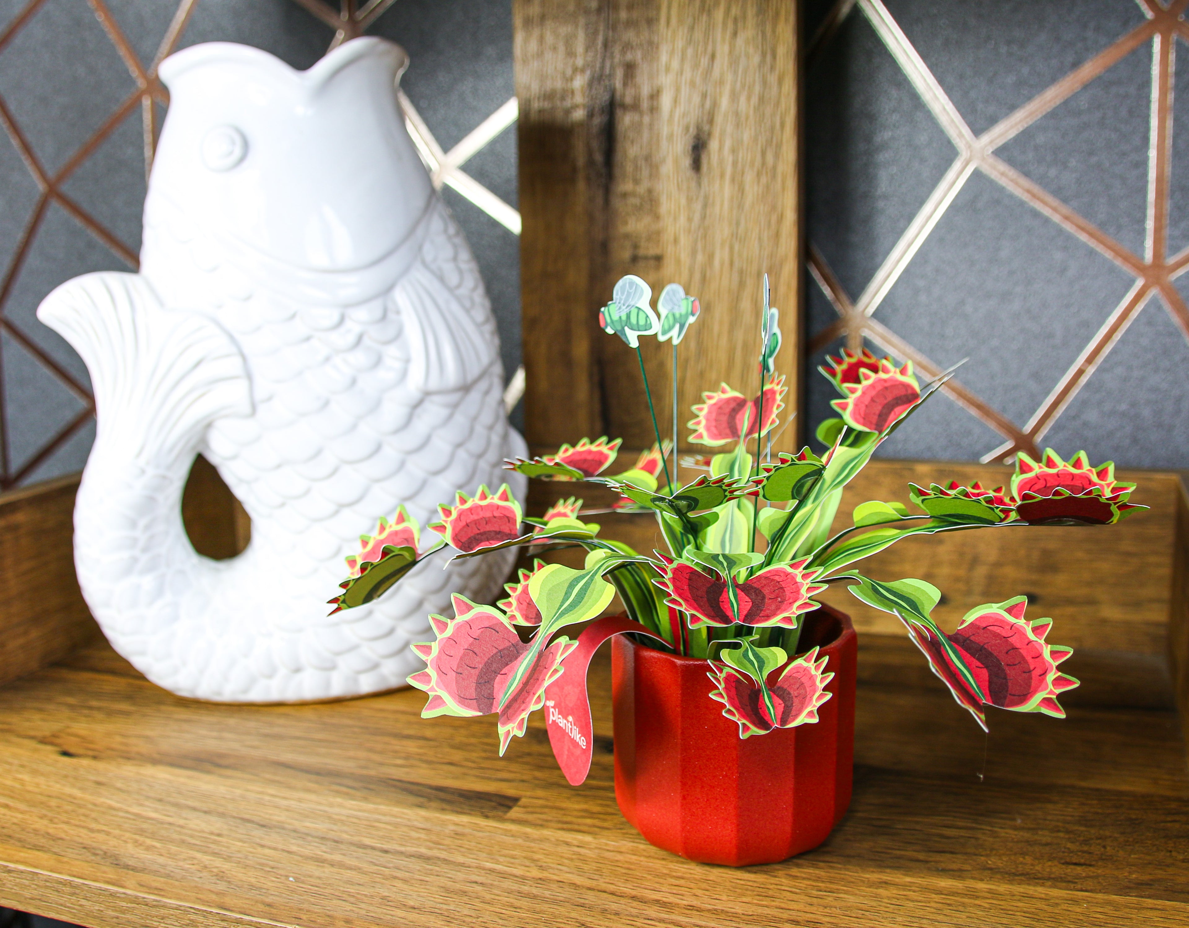 Plantlike venus fly trap with paper fly accessories - fun carnivorous plant gift UK - buy online tracked delivery