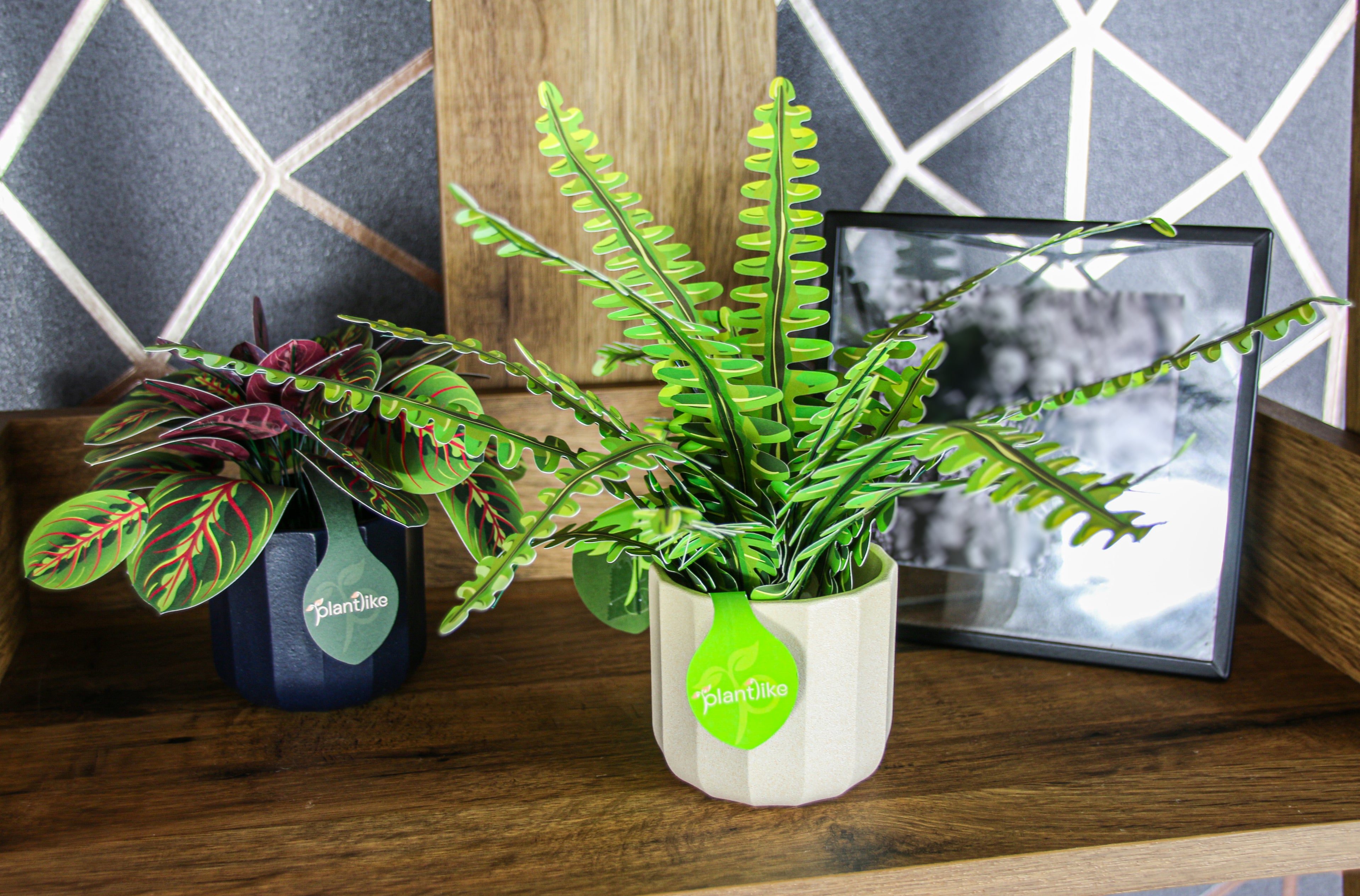 Completed boston fern alongside real plants - zero maintenance houseplant UK - shop Plantlike craft kits free delivery