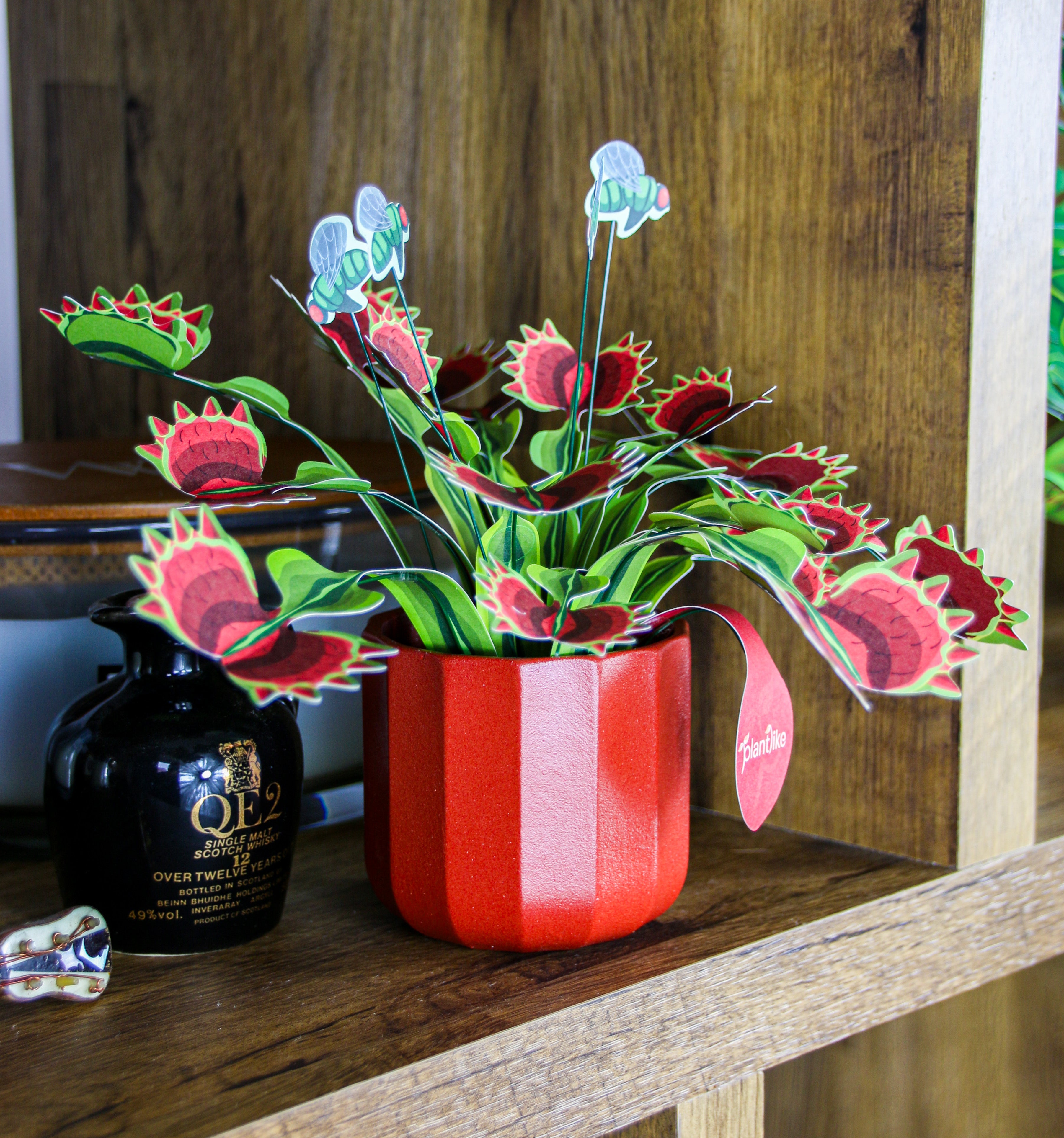 Venus fly trap paper craft from above - red and green trap detail - shop unique plant gifts UK free shipping