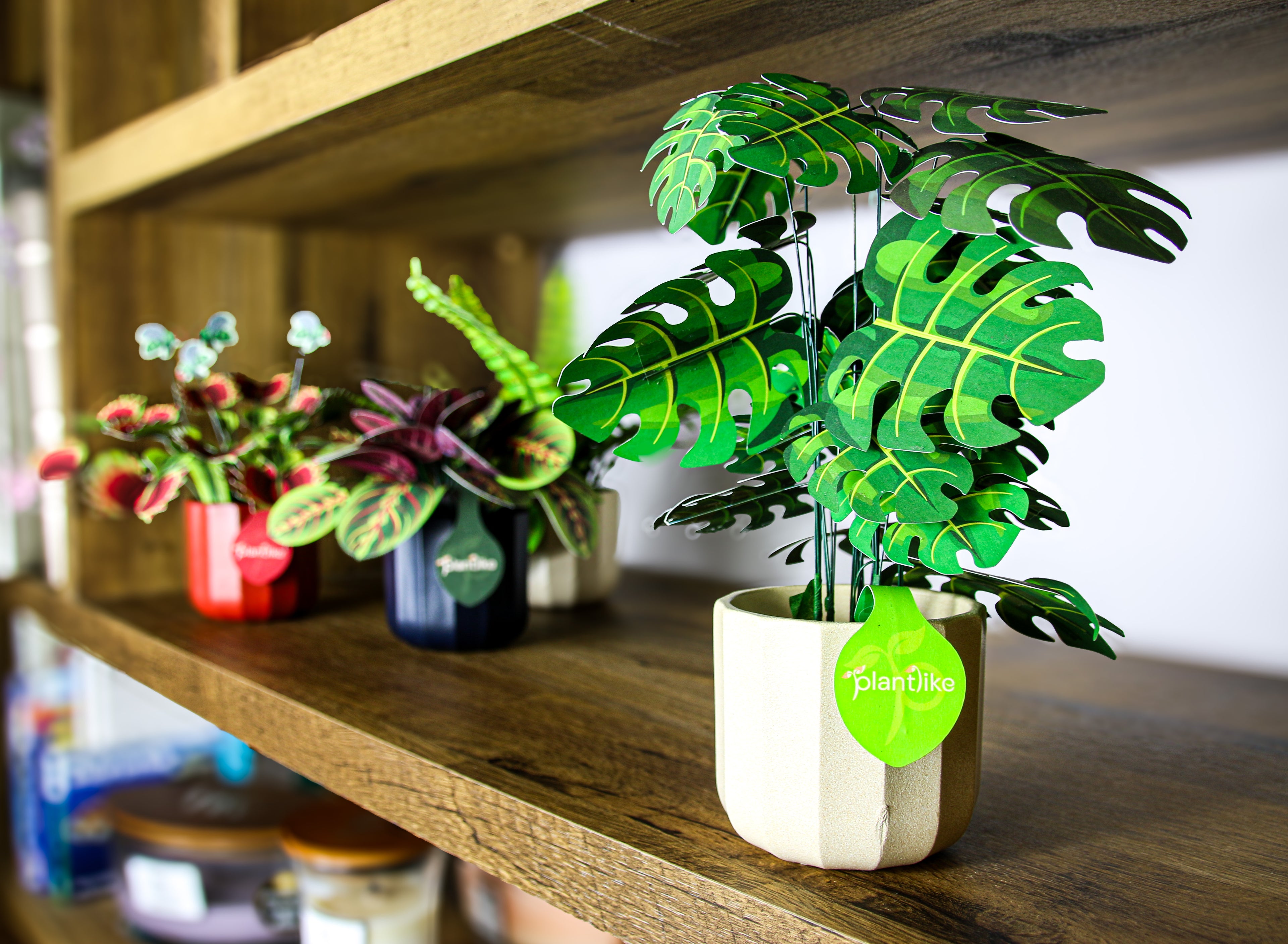 Monstera craft kit contents laid out - pre-cut leaves wire stems ceramic pot - buy unique plant gift UK free shipping