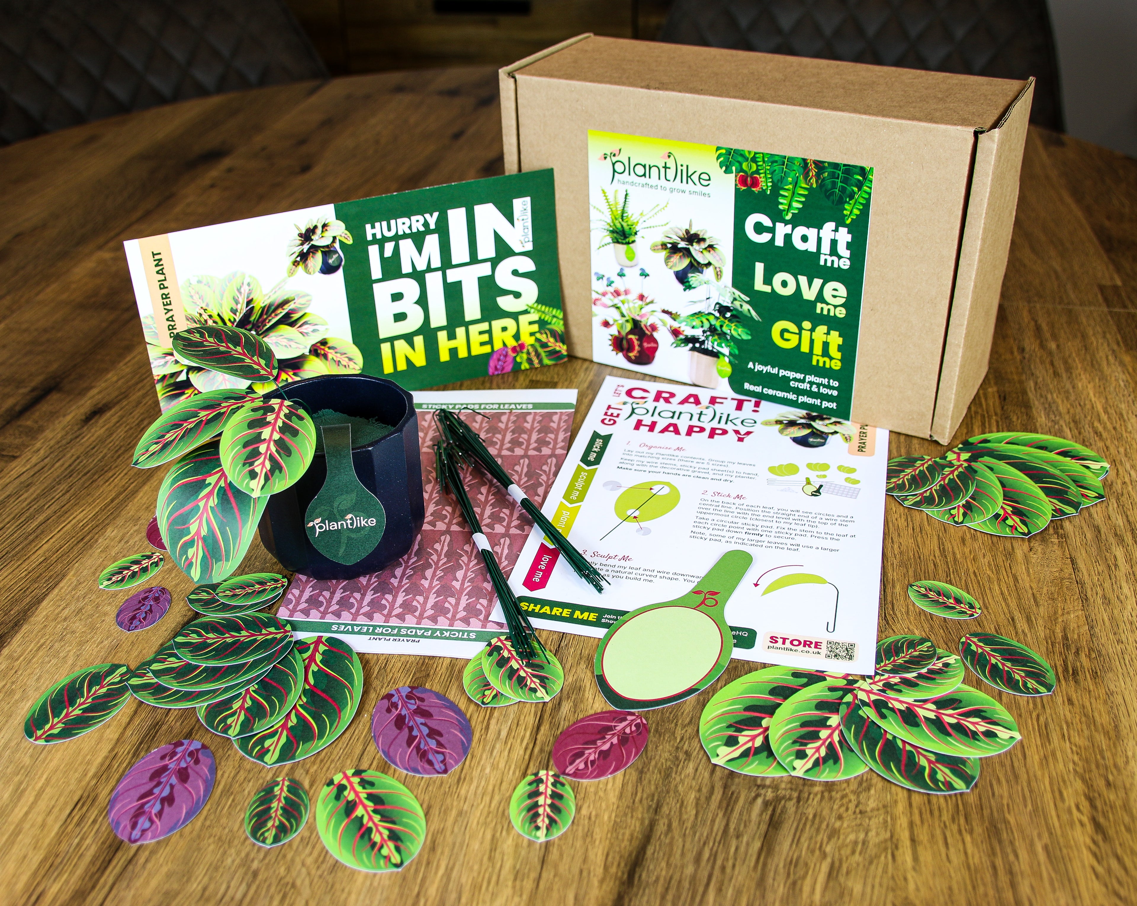 Plantlike prayer plant paper craft - DIY houseplant gift set with ceramic planter - order online UK delivery