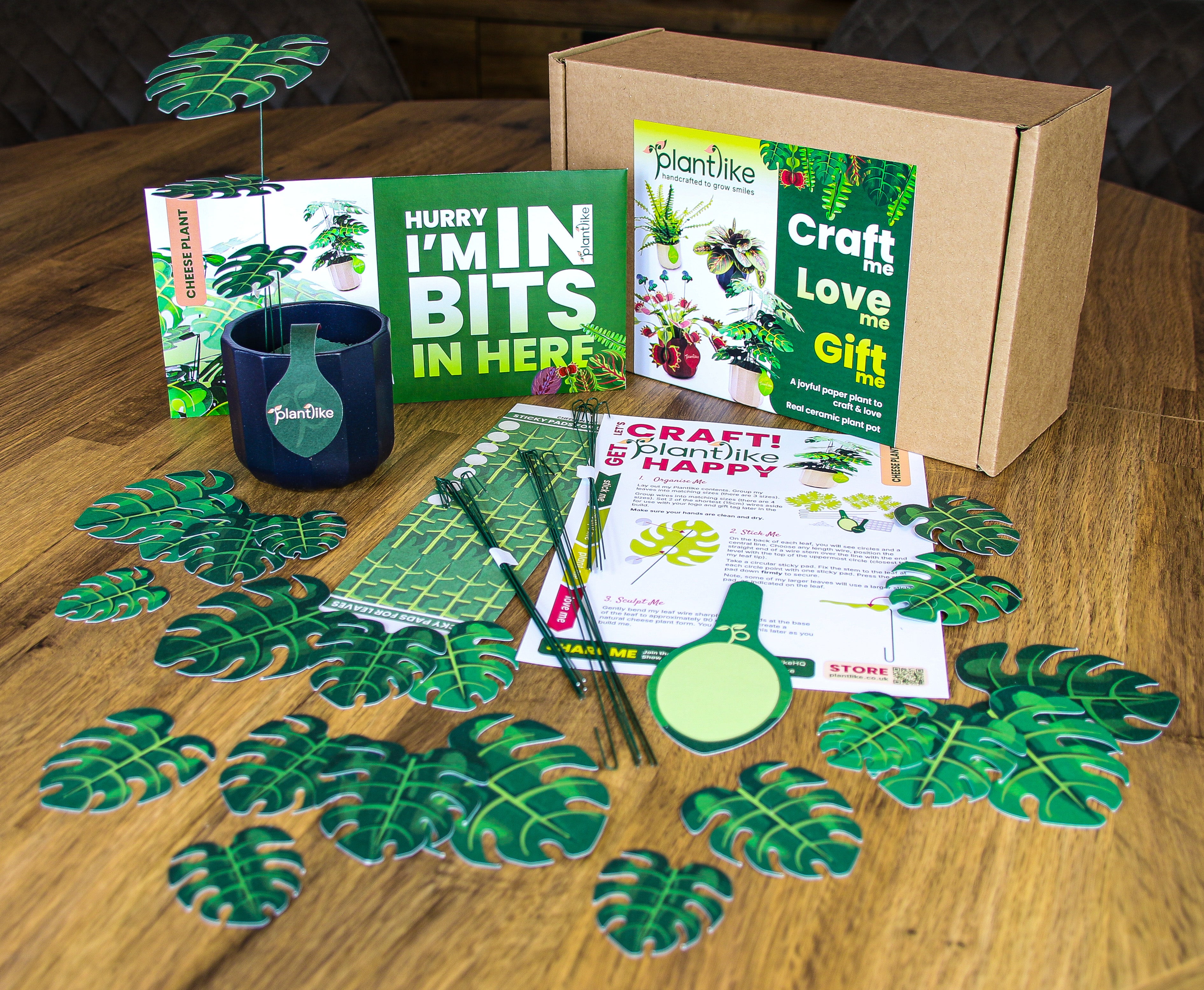 Plantlike monstera cheese plant craft kit - DIY tropical plant gift - order UK delivery with free shipping over £30