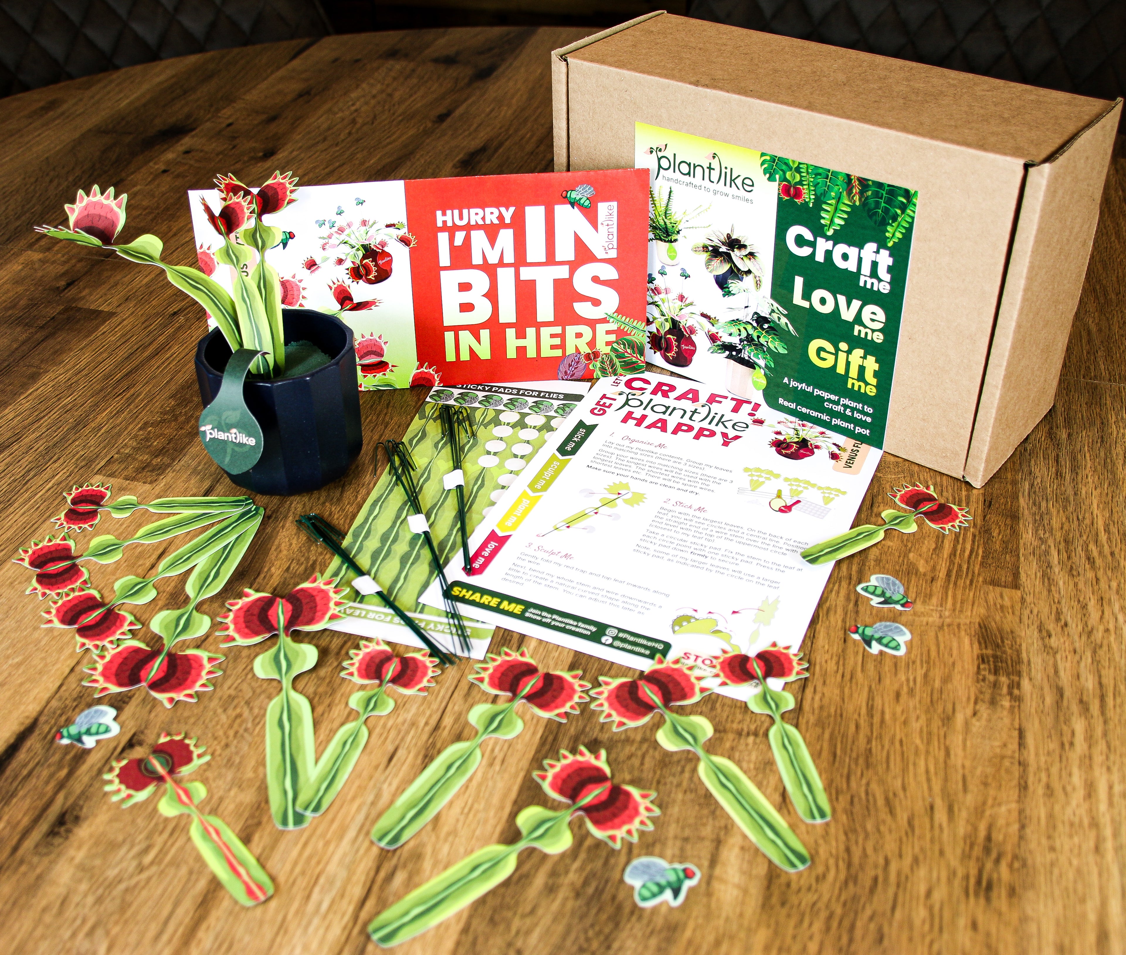 Venus fly trap craft kit with personalised gift tag - unique birthday fathers day gift UK - shop Plantlike online
