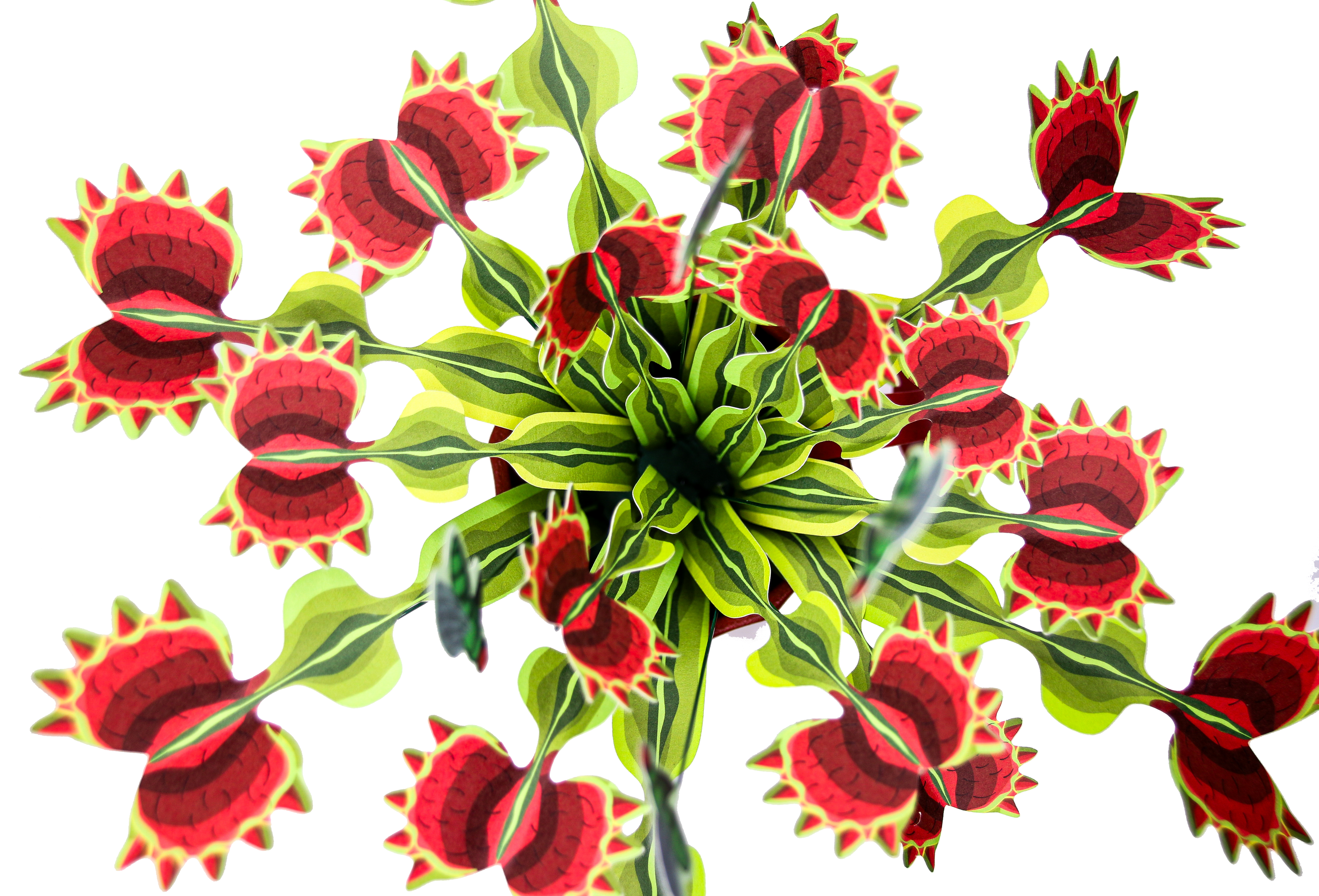 Top view venus fly trap craft kit - dramatic paper plant gift UK - order online for birthday fathers day