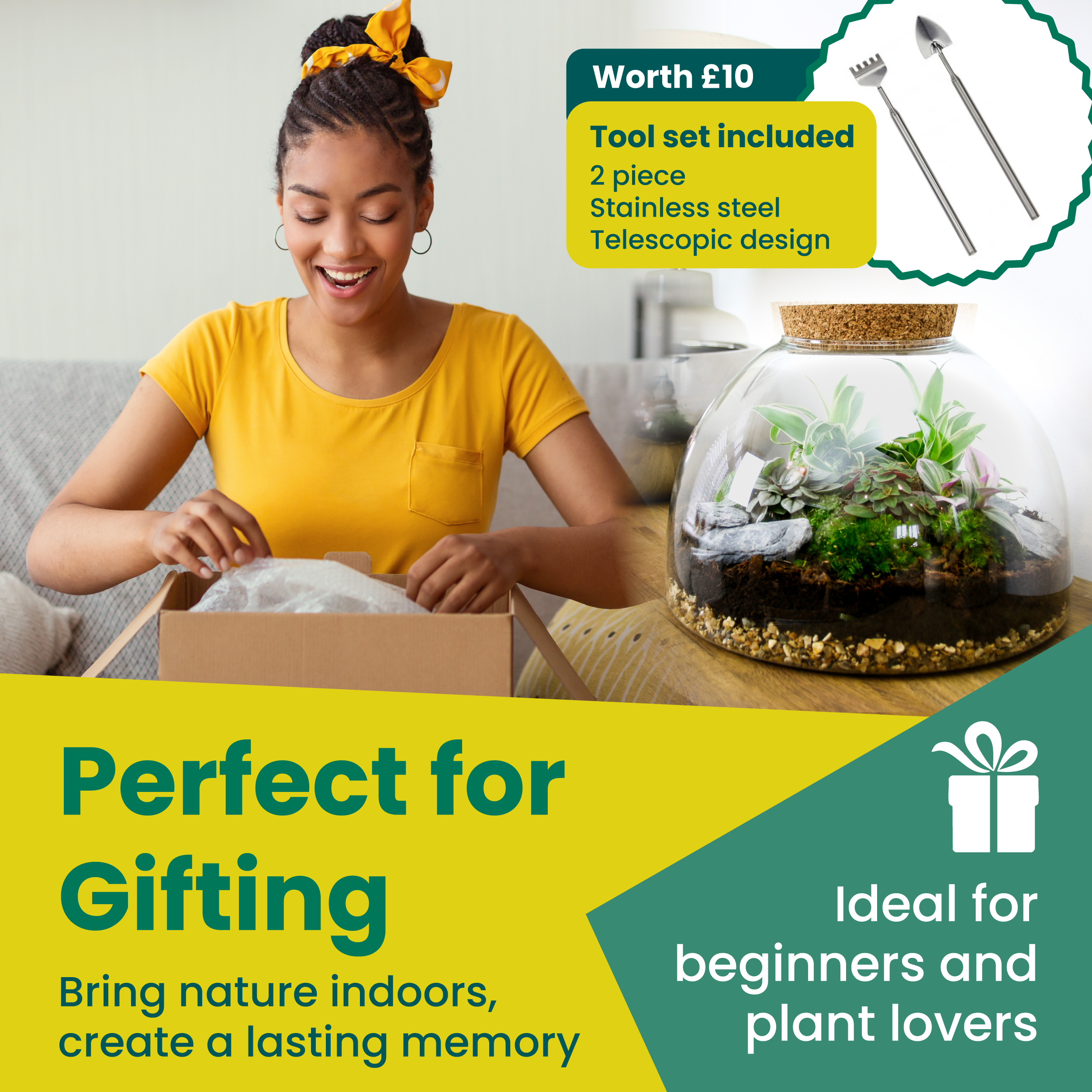 terrarium kit for gifting
