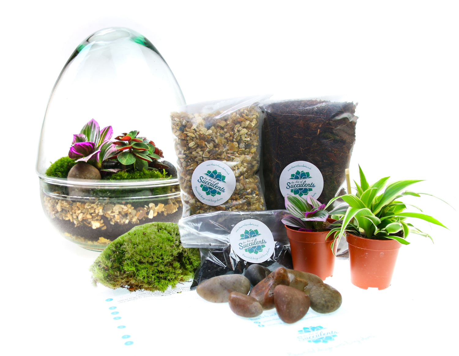 Terrarium kit contents