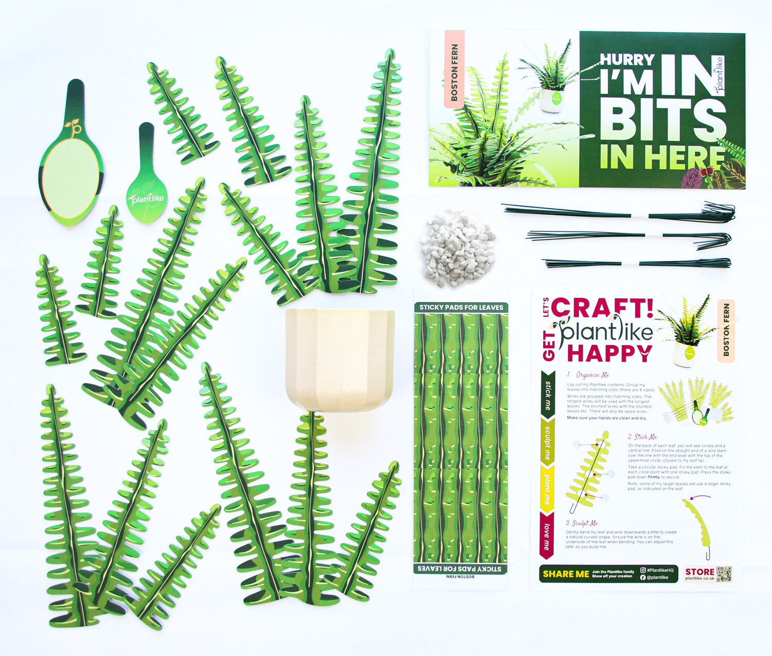 The Boston Fern - DIY Paper Plant Craft Kit - Home Decor Gift