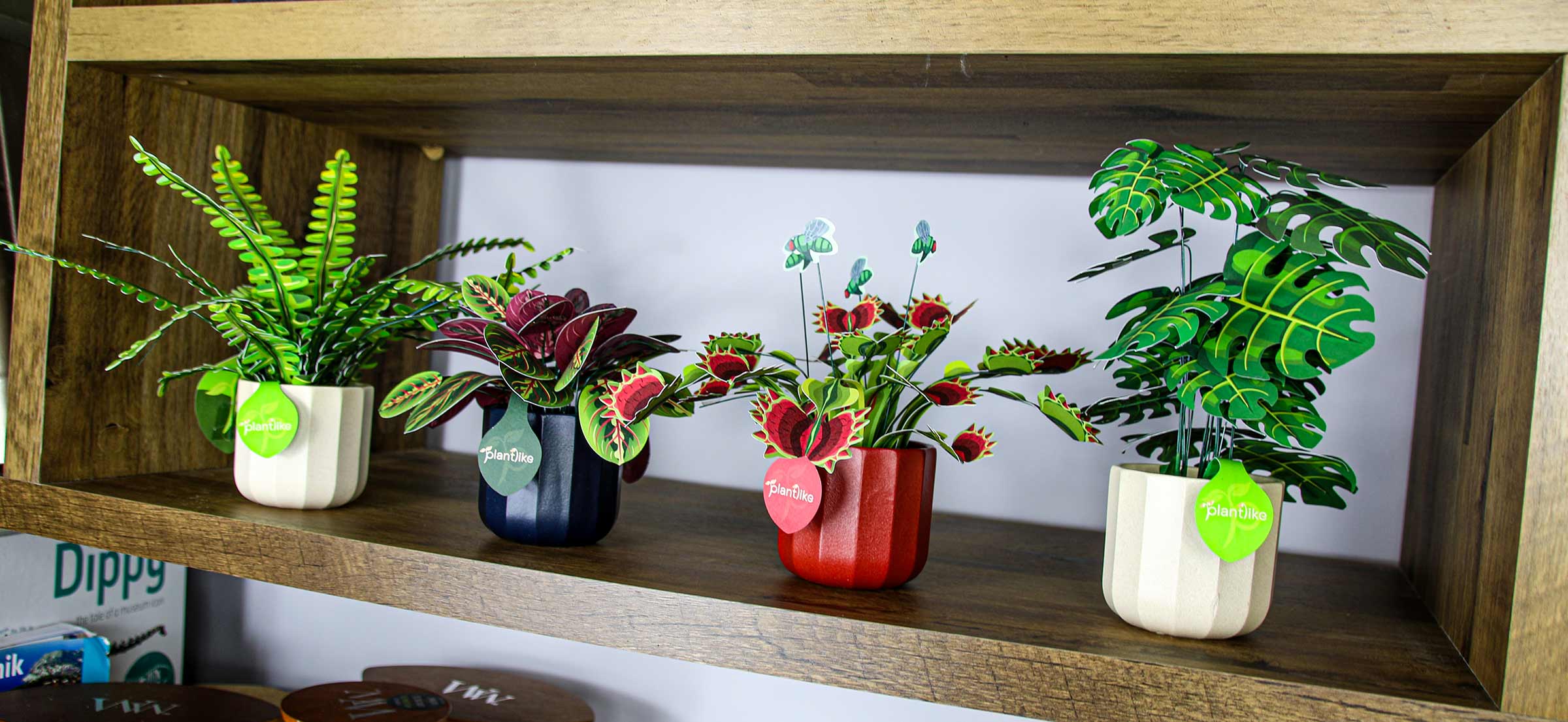 Plantlike, paper plant craft kits