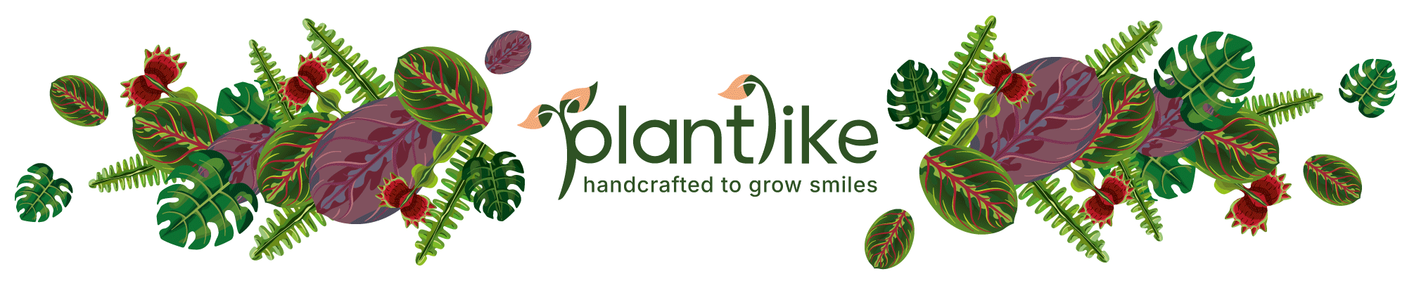 Paper house plant craft kits with real planters, Plantlike