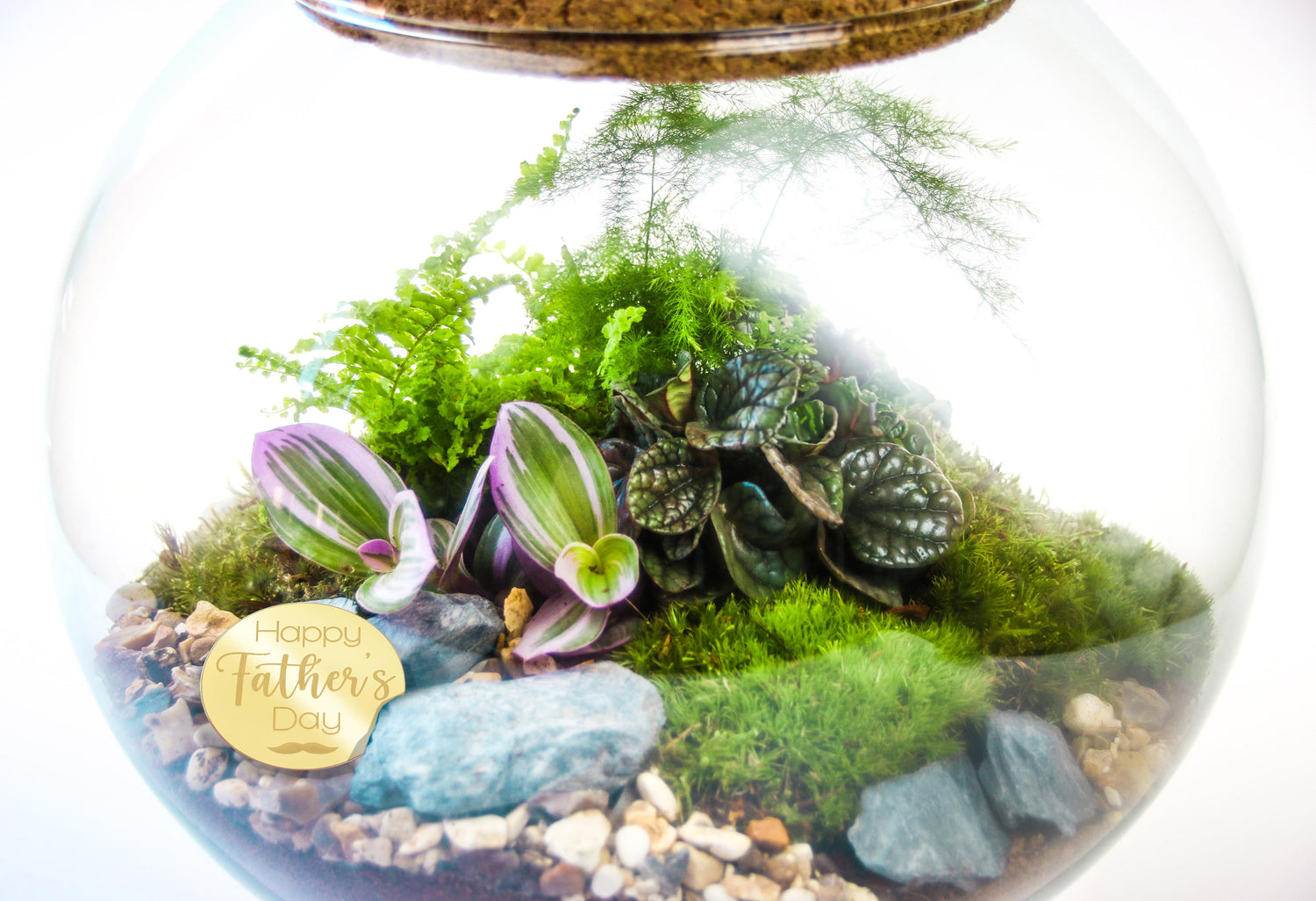 Terrarium gift for Father&