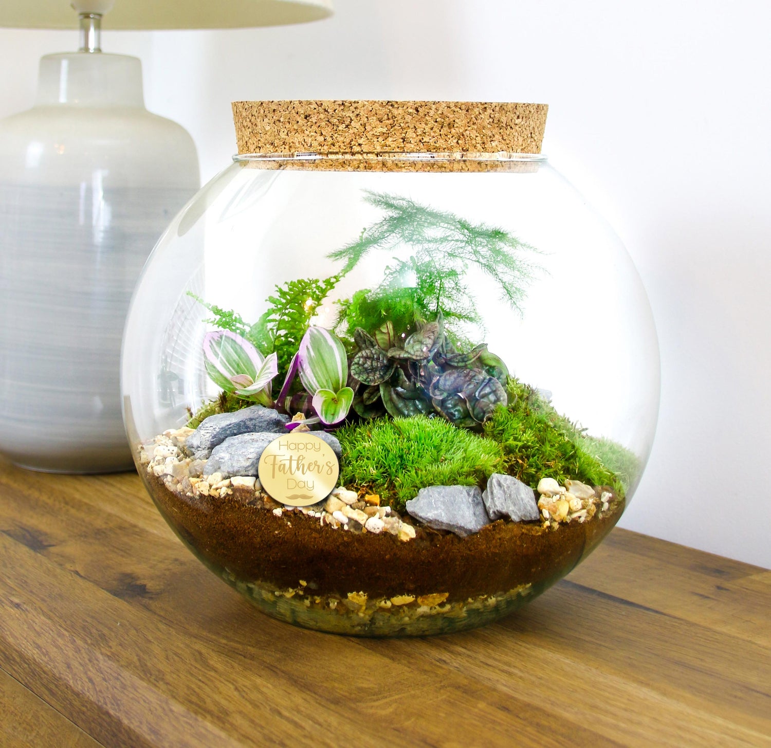 Buy a terrarium for Father&