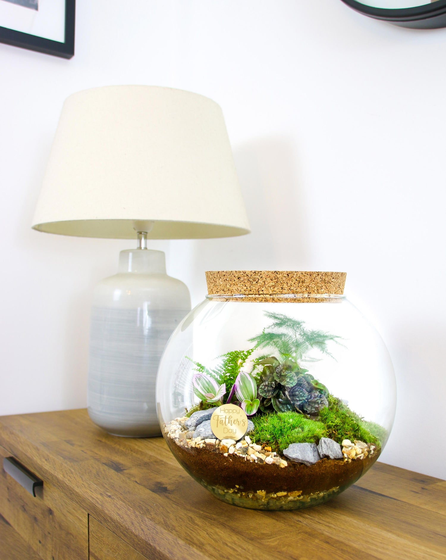 Terrarium kit, free UK delivery