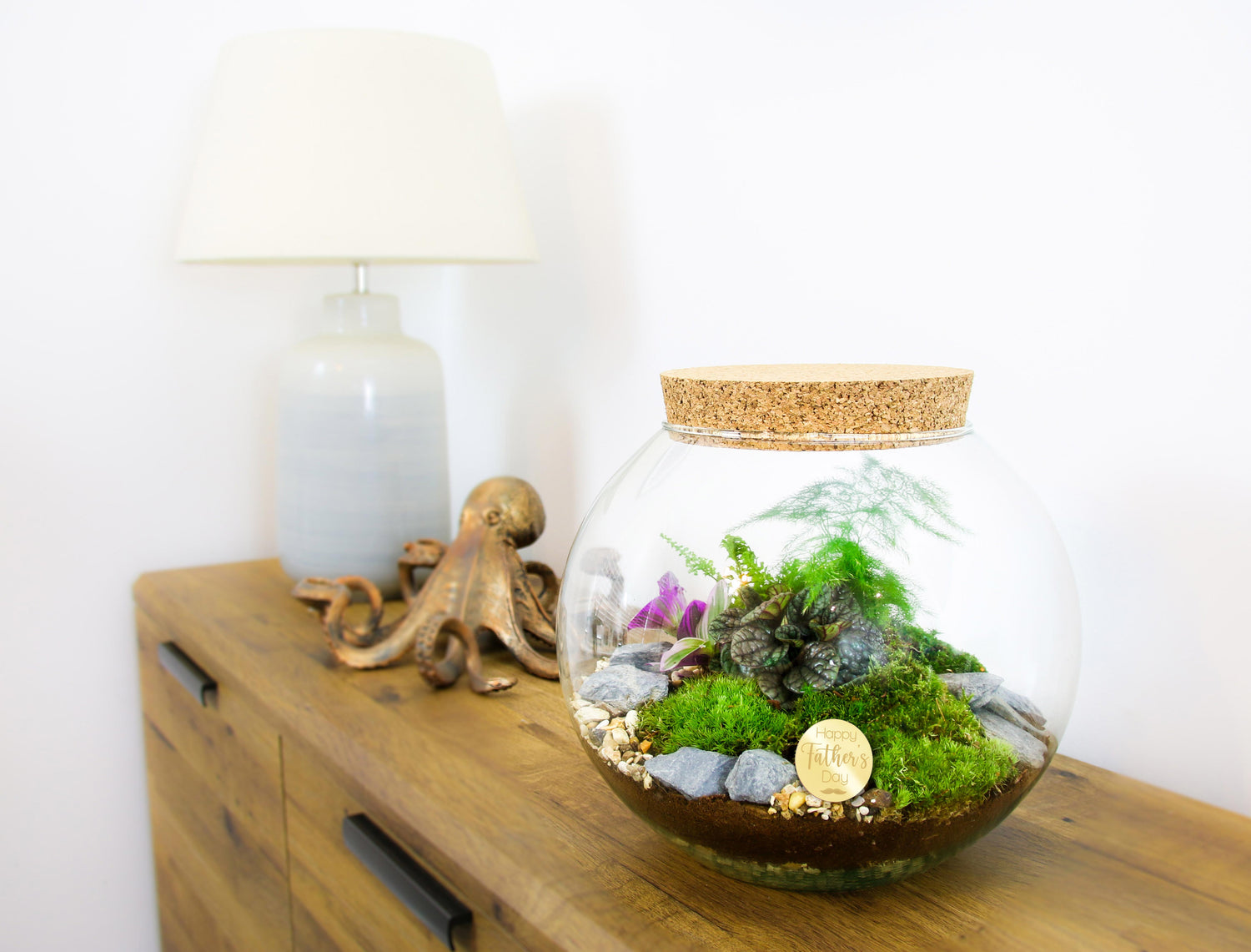 DIY terrarium kit gift ideas for Dad