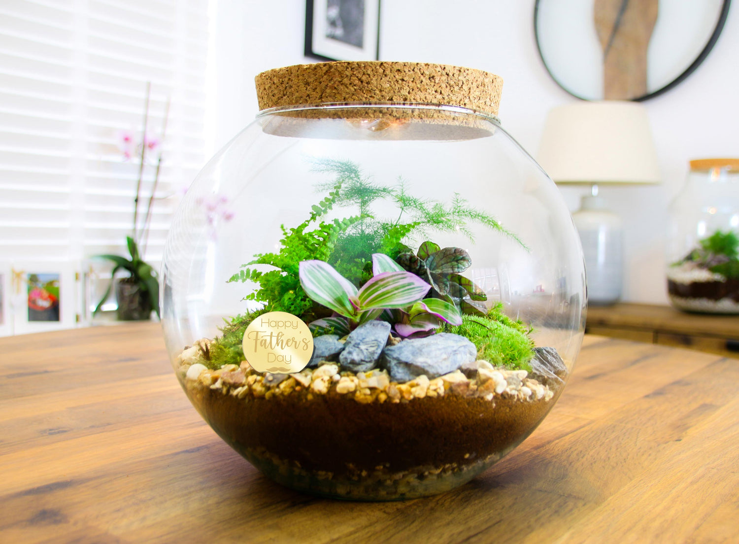 Plant gift for Dad on Father&