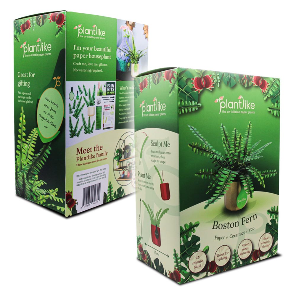 Boston fern craft gift packaging by Plantlike
