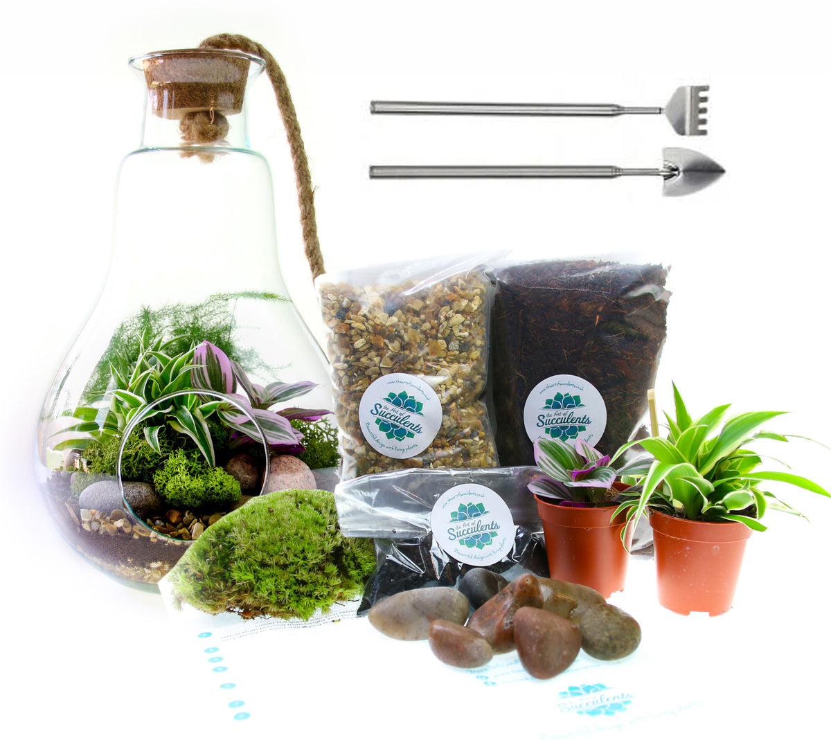 corporate gift with living plants. Order online. Terrarium