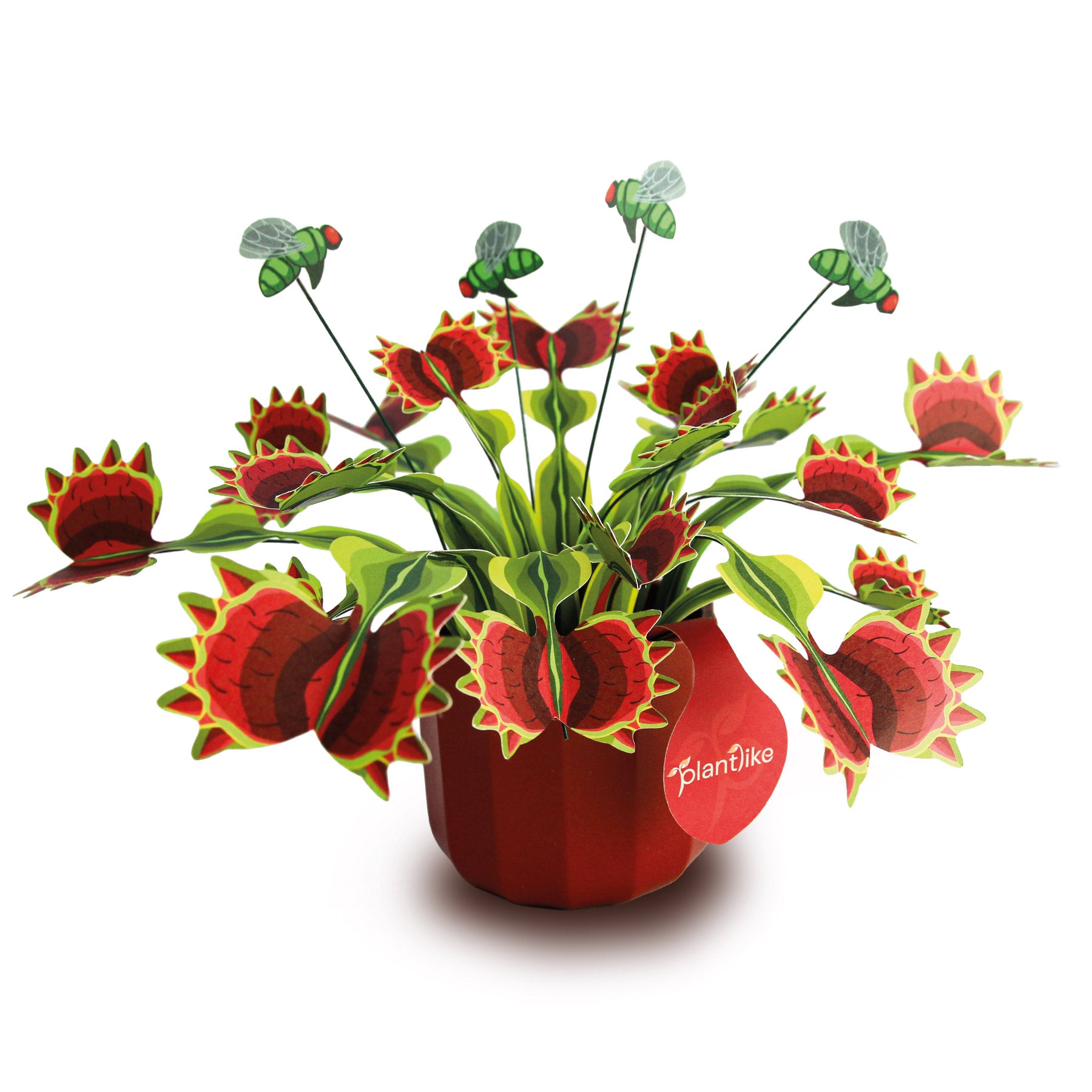 Venus fly trap paper craft kit UK - carnivorous plant gift with red ceramic pot - buy online free UK delivery