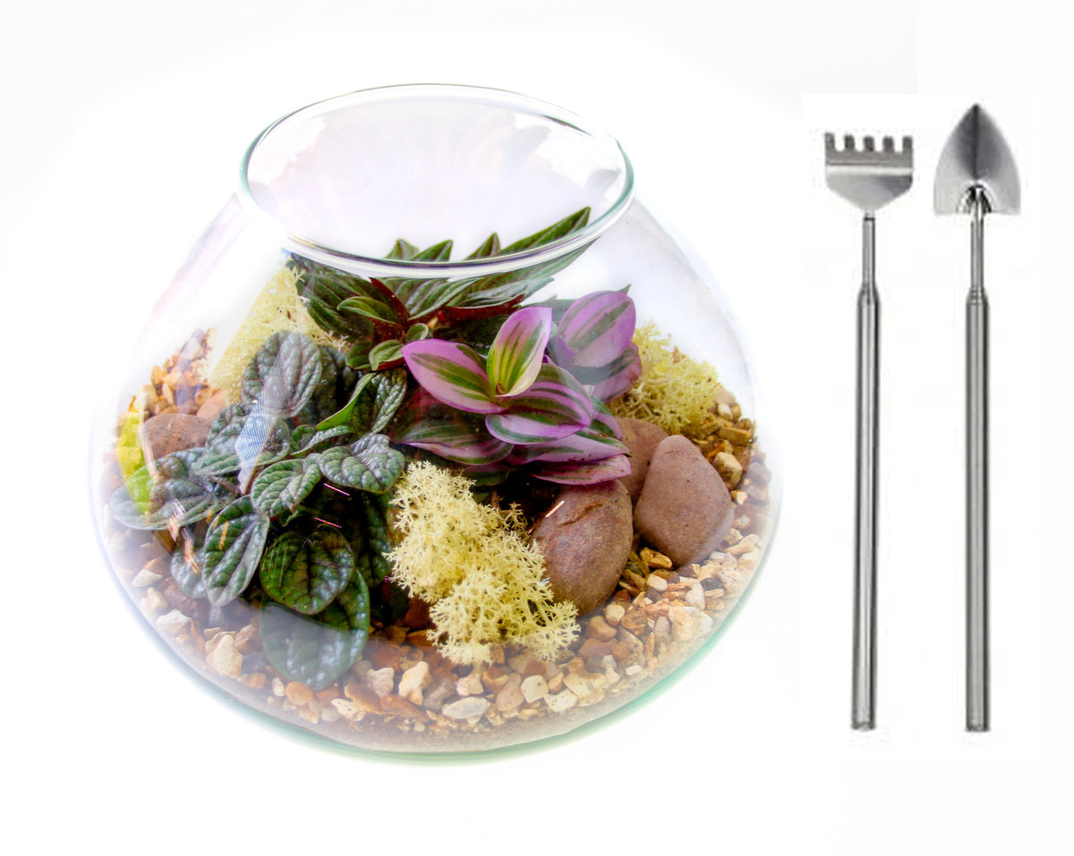 Open mini garden terrarium with tool set