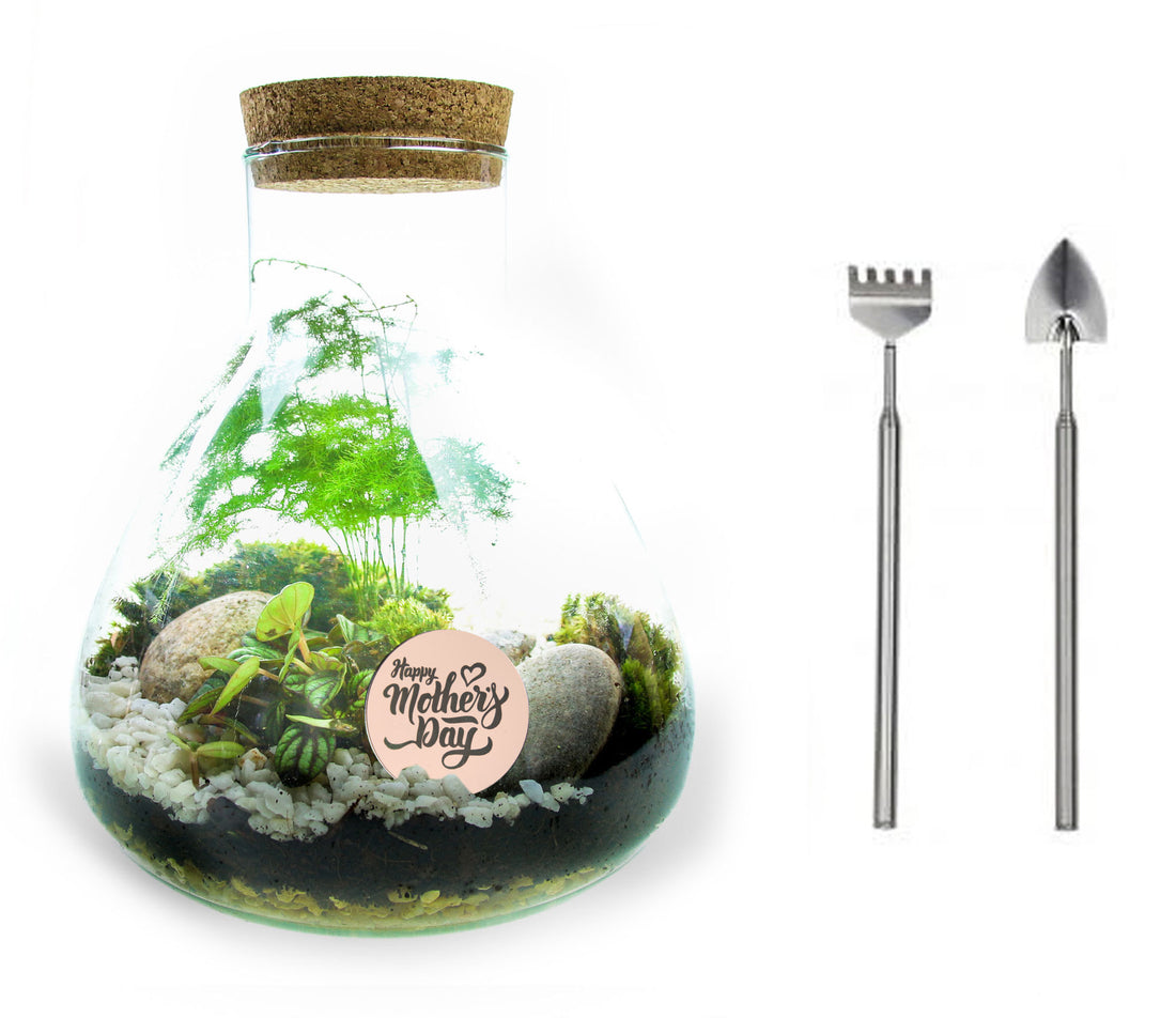Terrarium kit with telescopic tool set and real plants