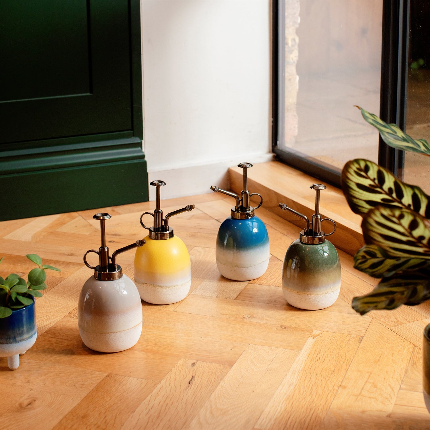 Mojave plant spray bottle misters