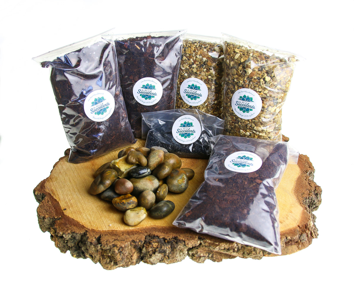 Buy a terrarium kit for closed terrarium bottle gardens