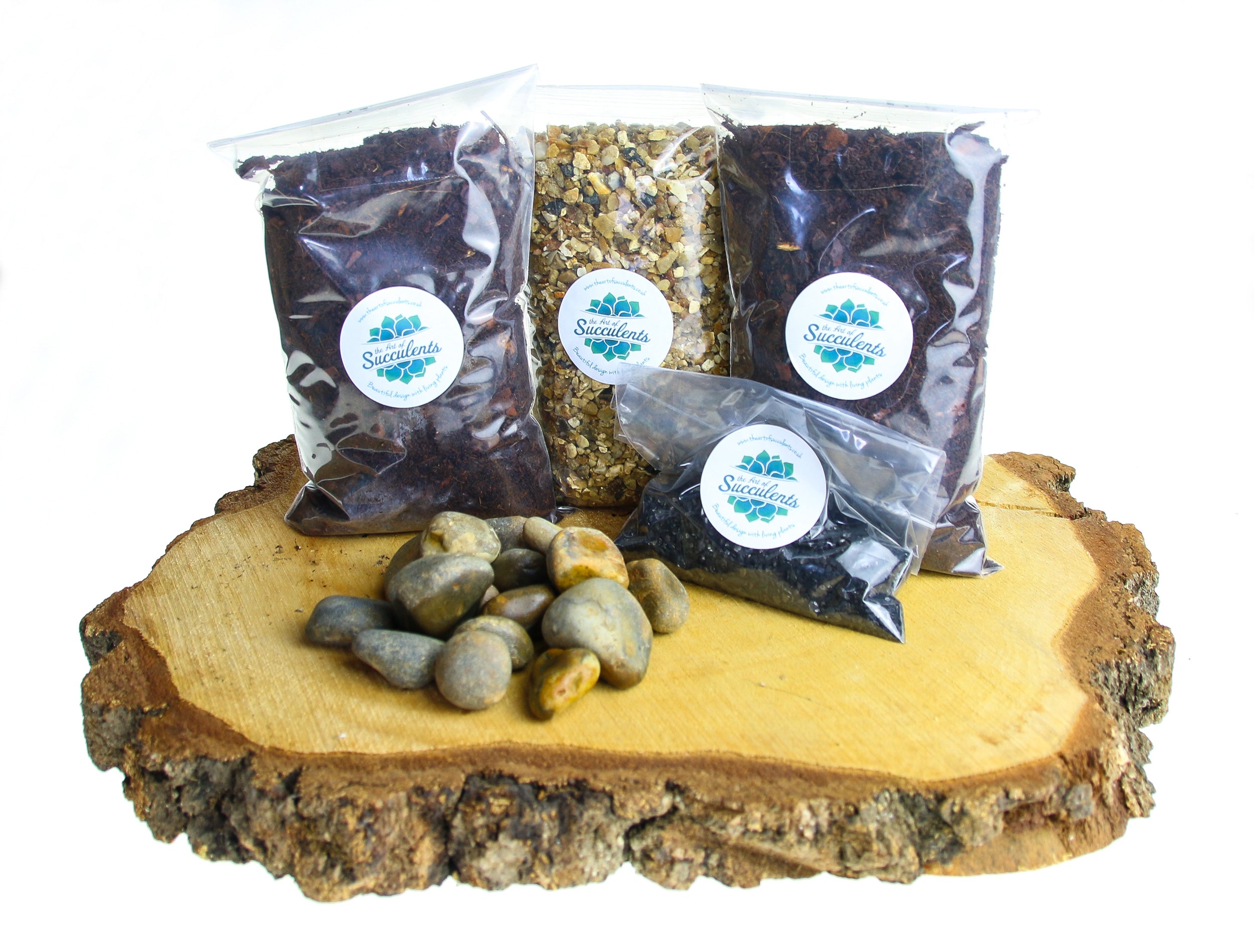 contents for a closed bottle terrarium