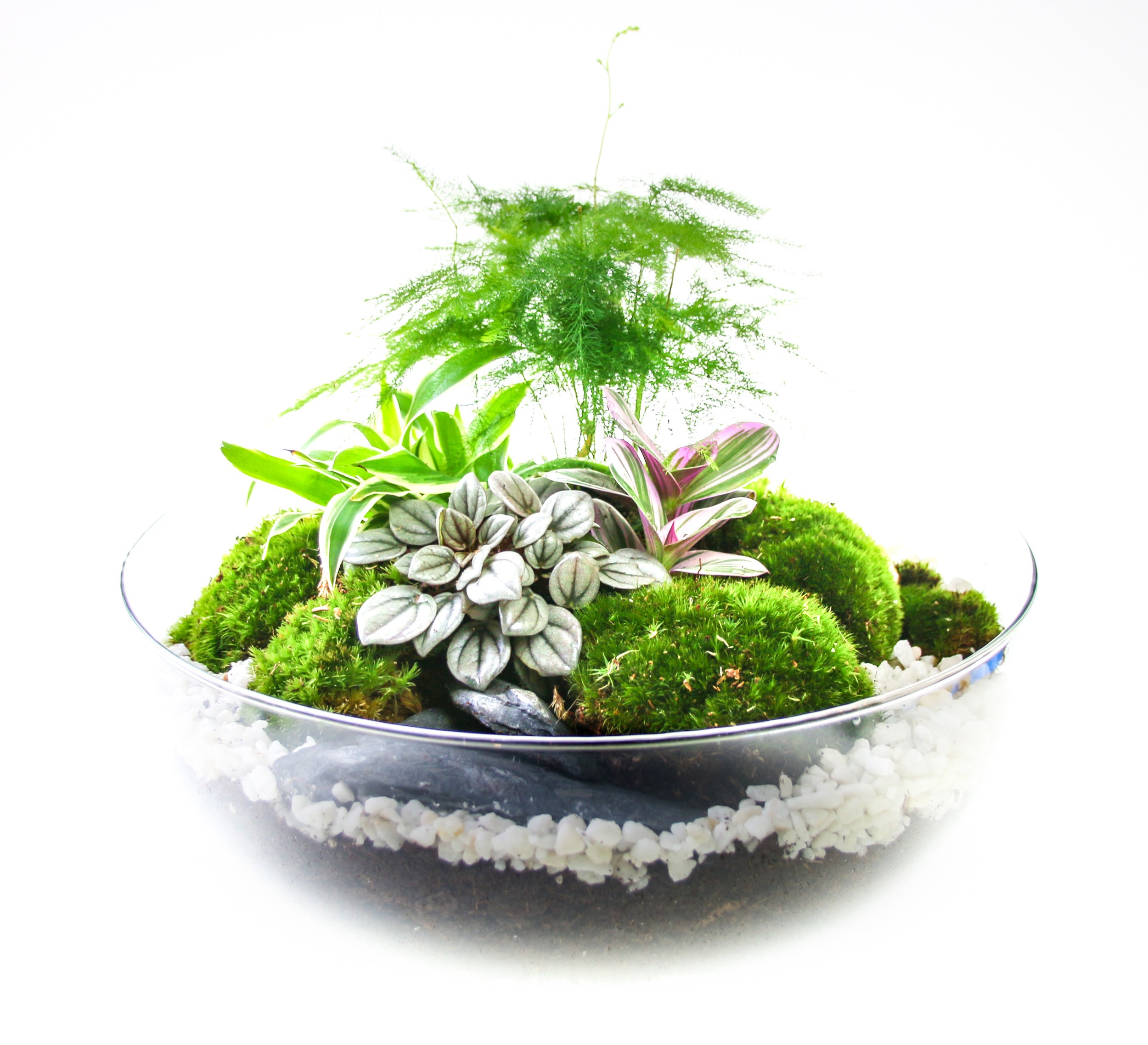 How to build a terrarium