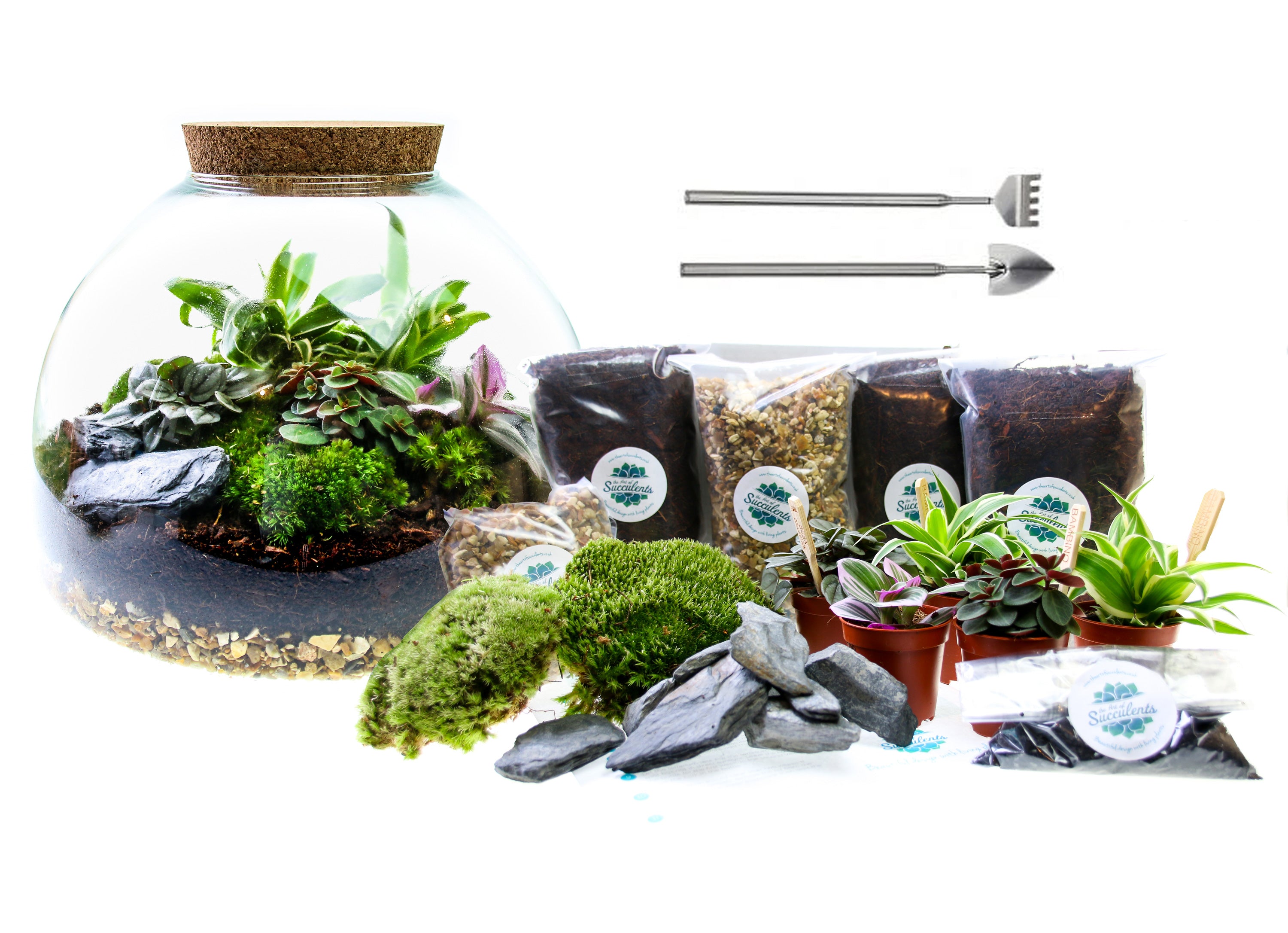 Complete terrarium kit with plants and tools