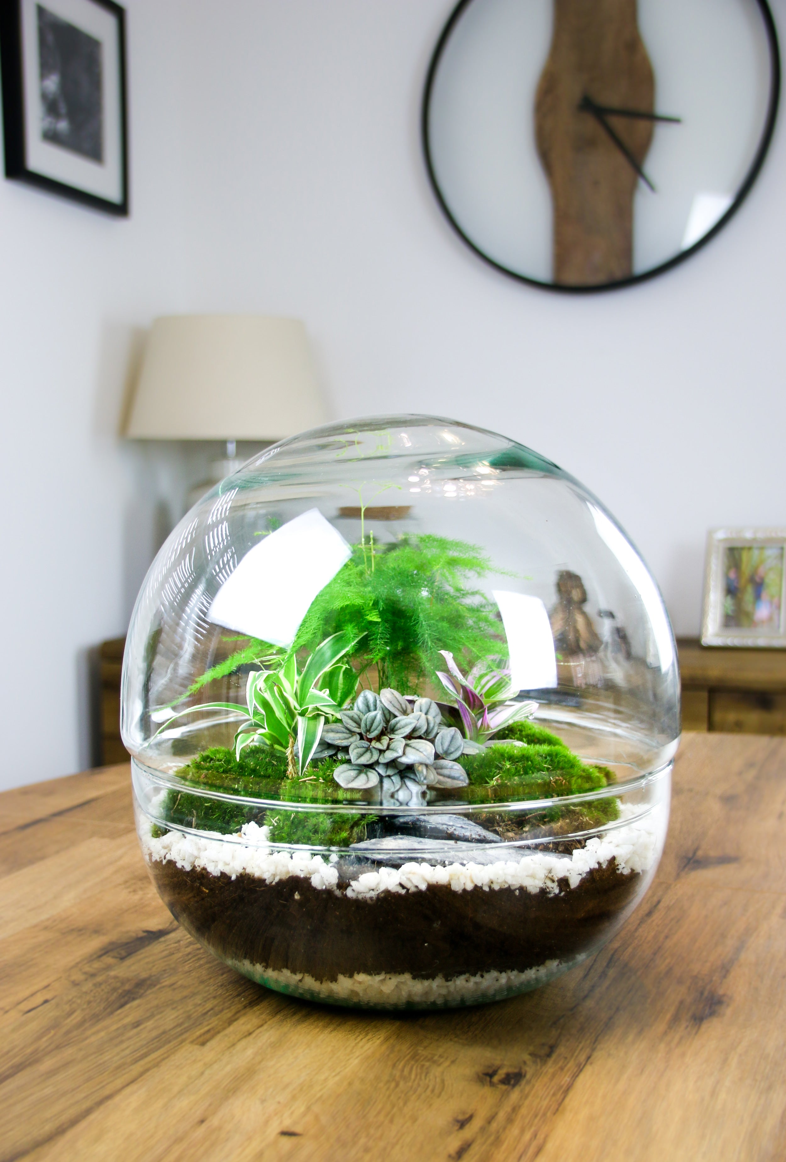 Home decor gift ideas with plants